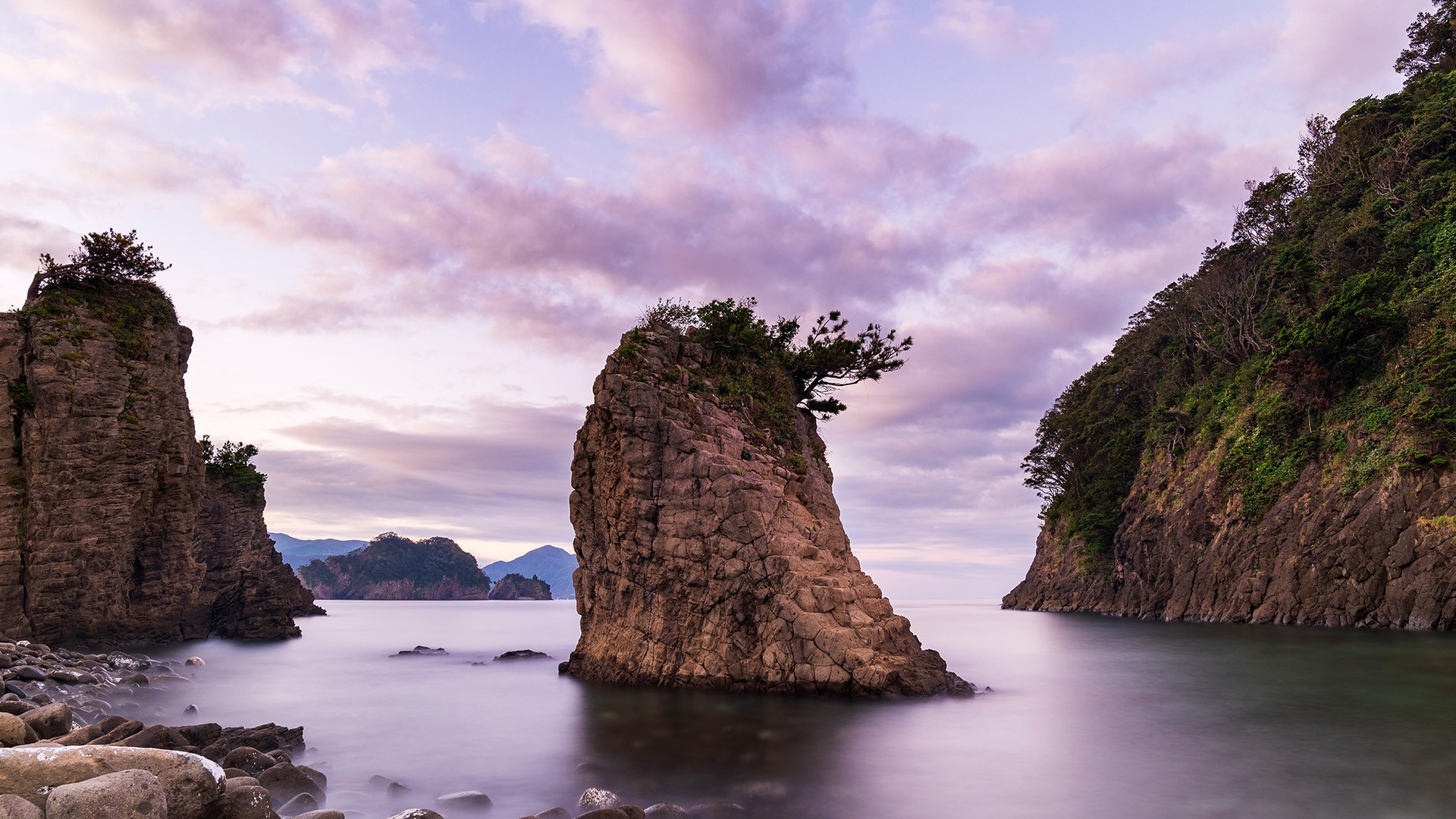 Rocky coast with sea stacks and trees at sunset HD Wallpaper