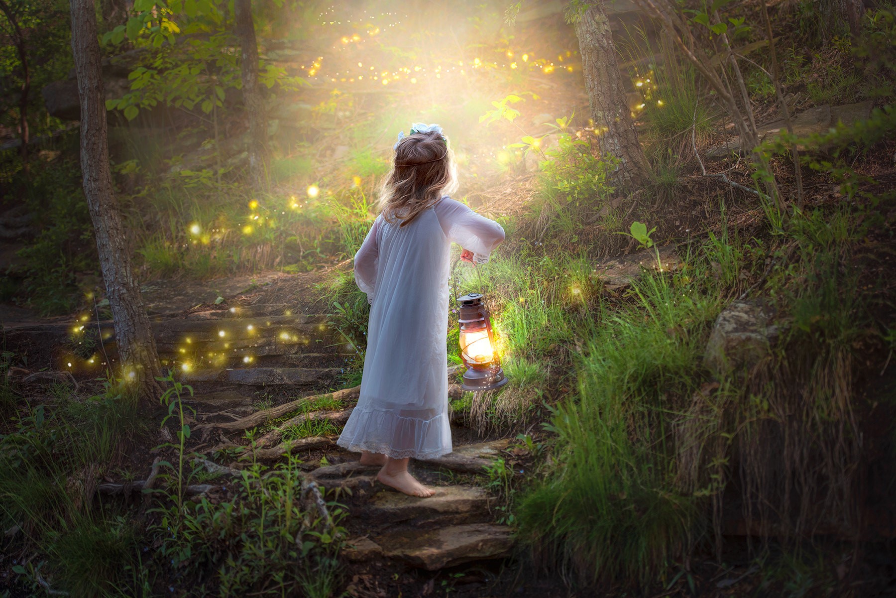 Girl with lantern in a magical forest HD Wallpaper