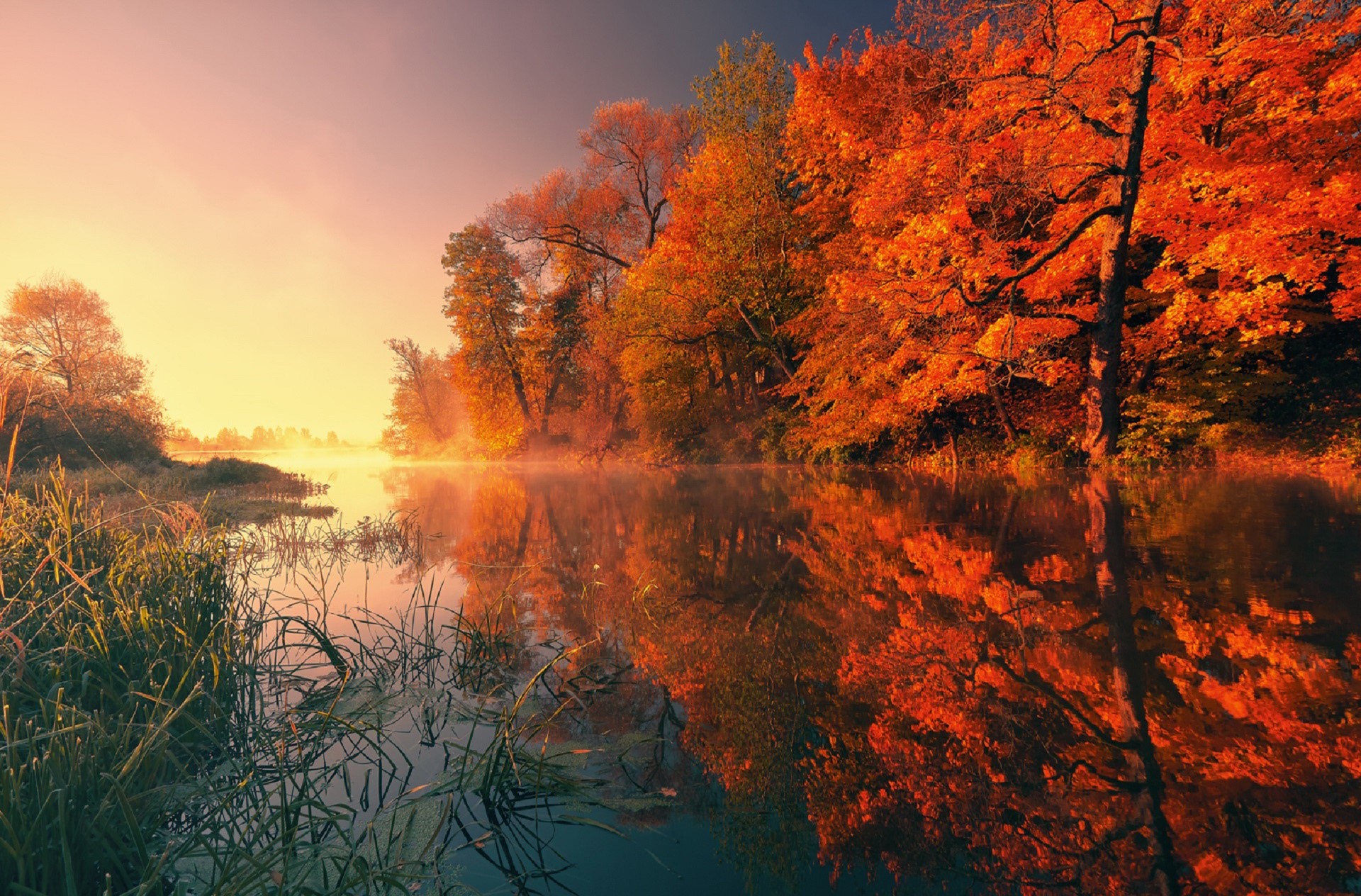 Autumn trees reflecting in a misty lake at sunrise HD Wallpaper