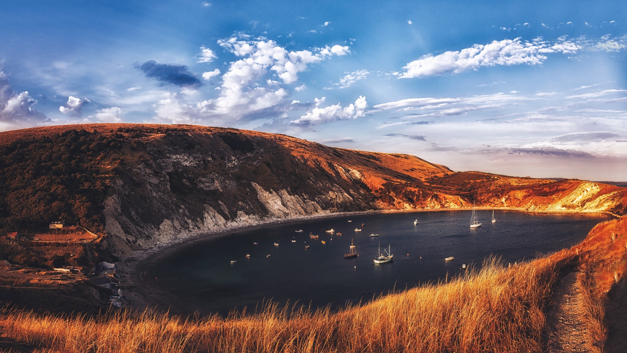 Bay with boats and hills in Dorset, England HD Wallpaper