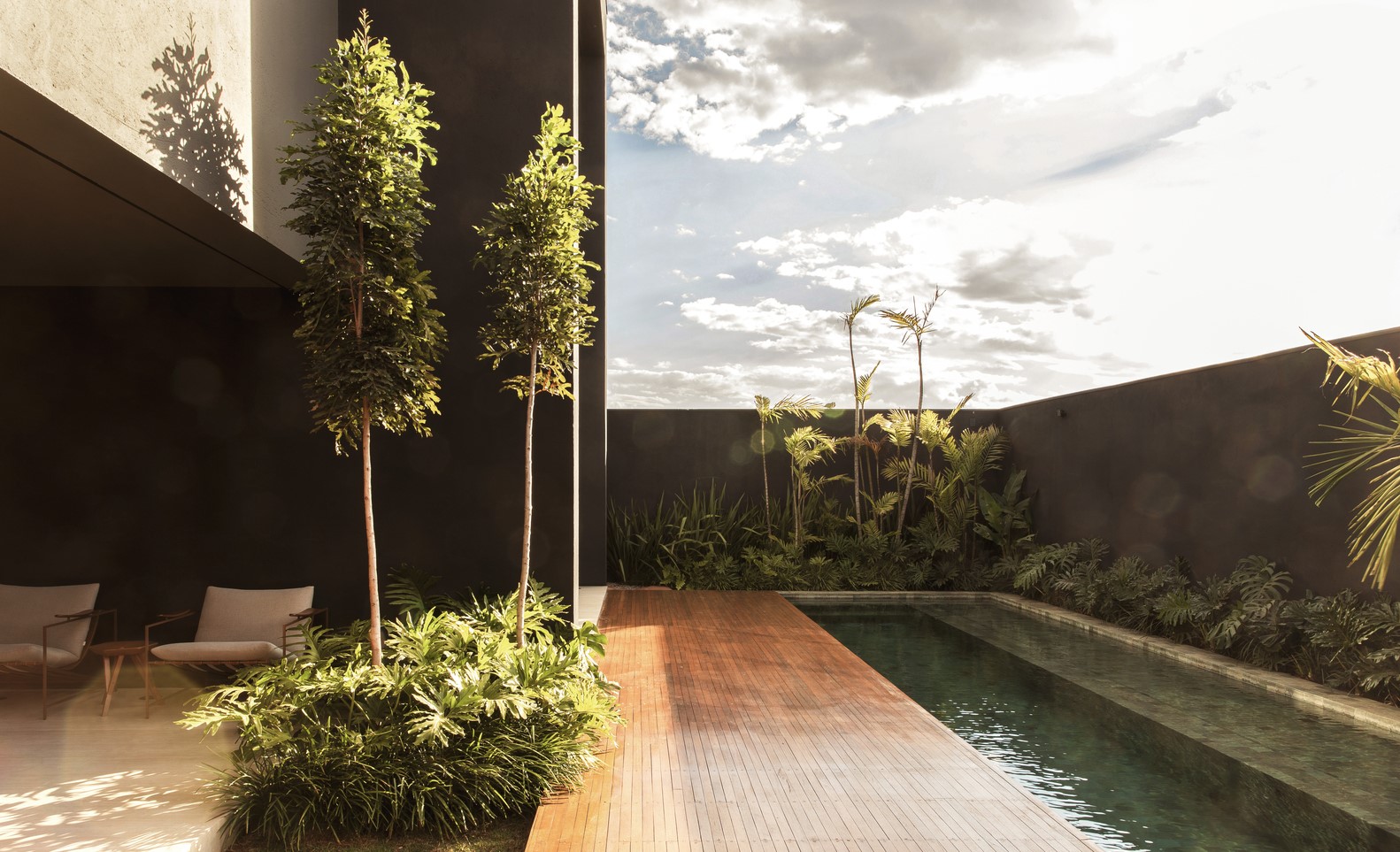 Modern backyard with swimming pool and plants at sunset HD Wallpaper