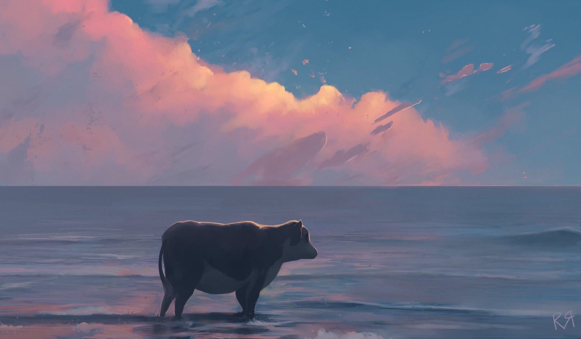 Cow standing in the ocean at sunset HD Wallpaper