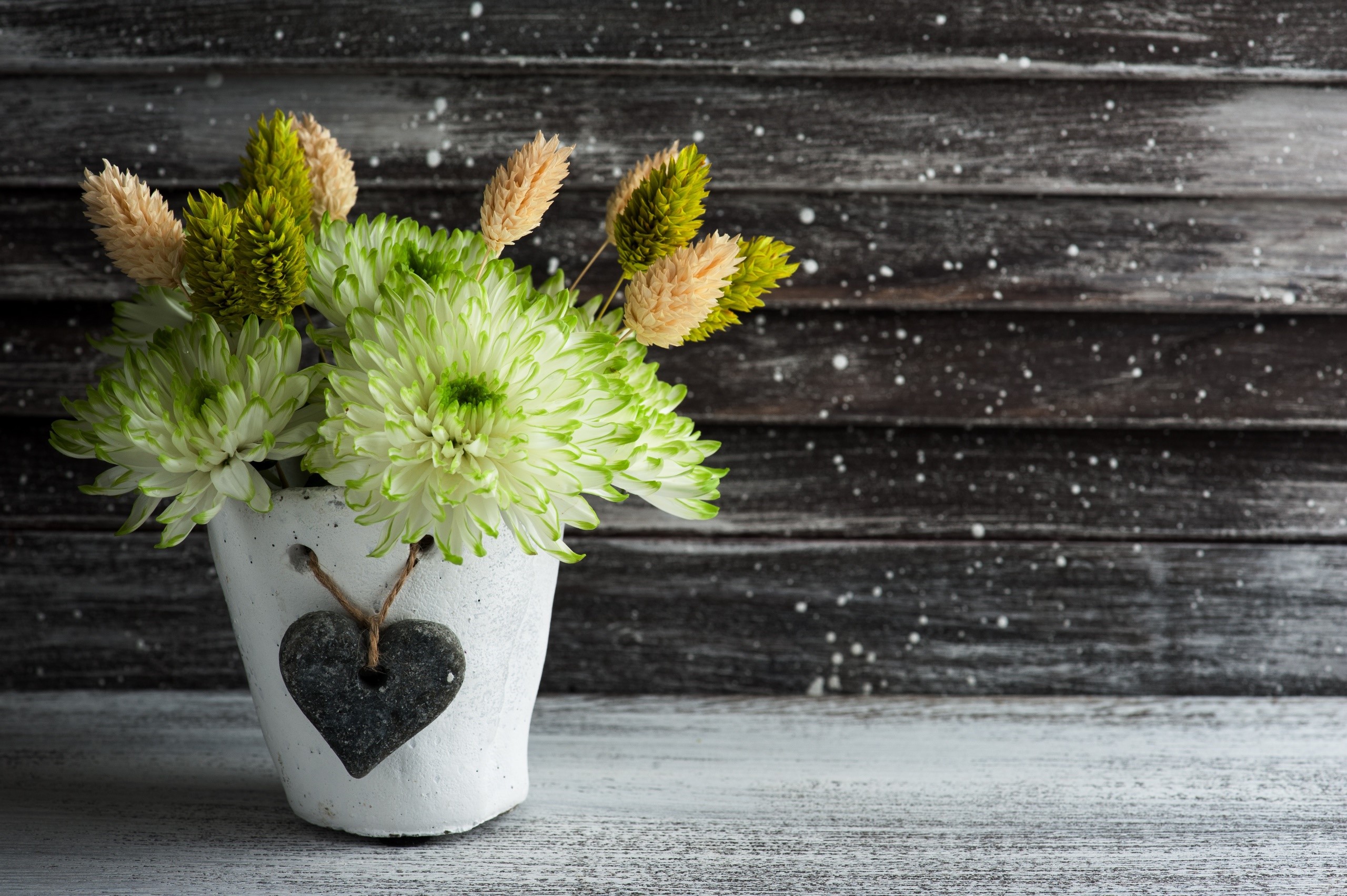 Green and white flowers in a pot with a heart decoration HD Wallpaper