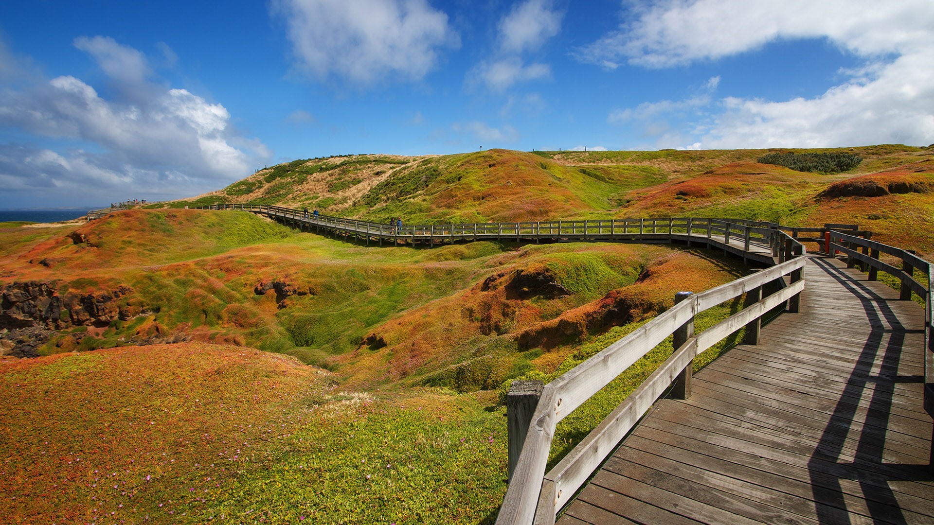 Wooden walkway through colorful hills under a blue sky HD Wallpaper