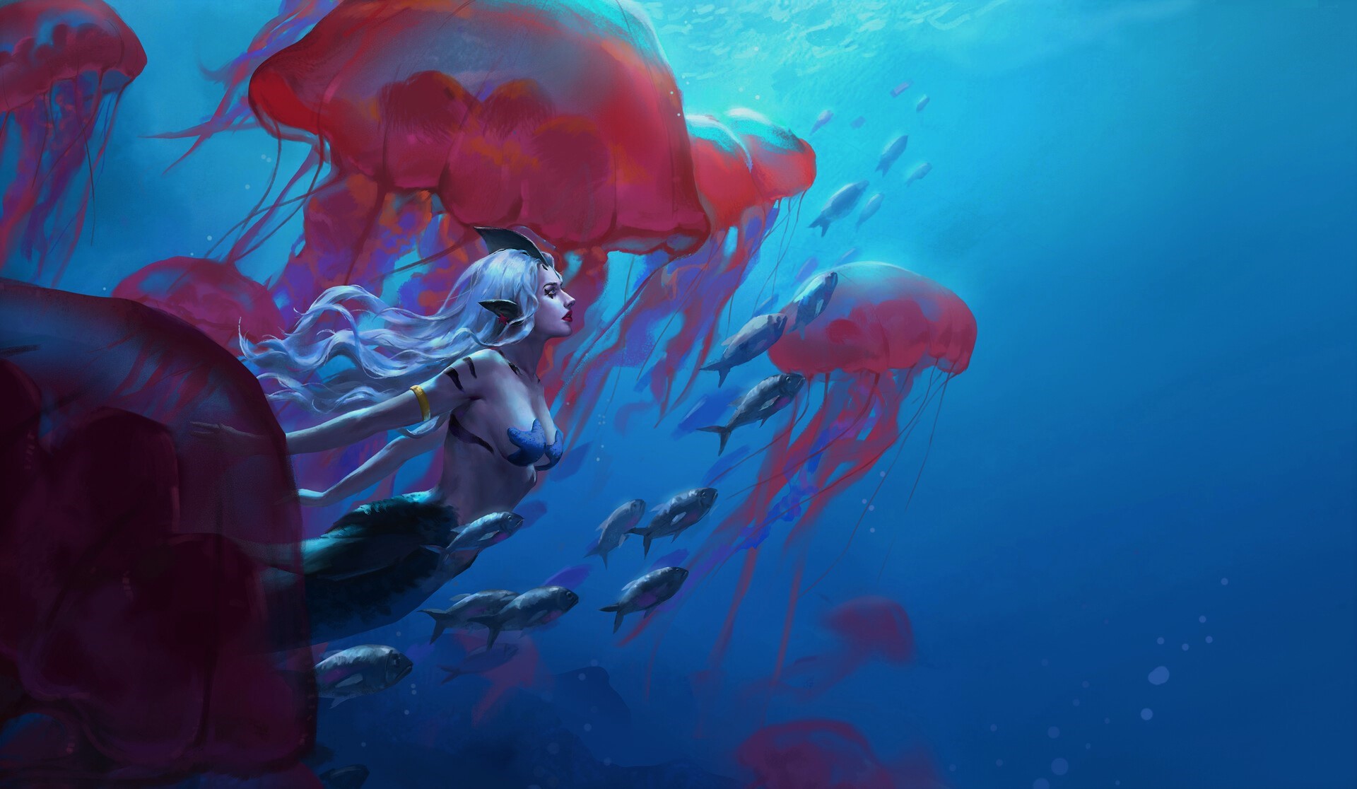 Siren swimming with jellyfish and fish HD Wallpaper