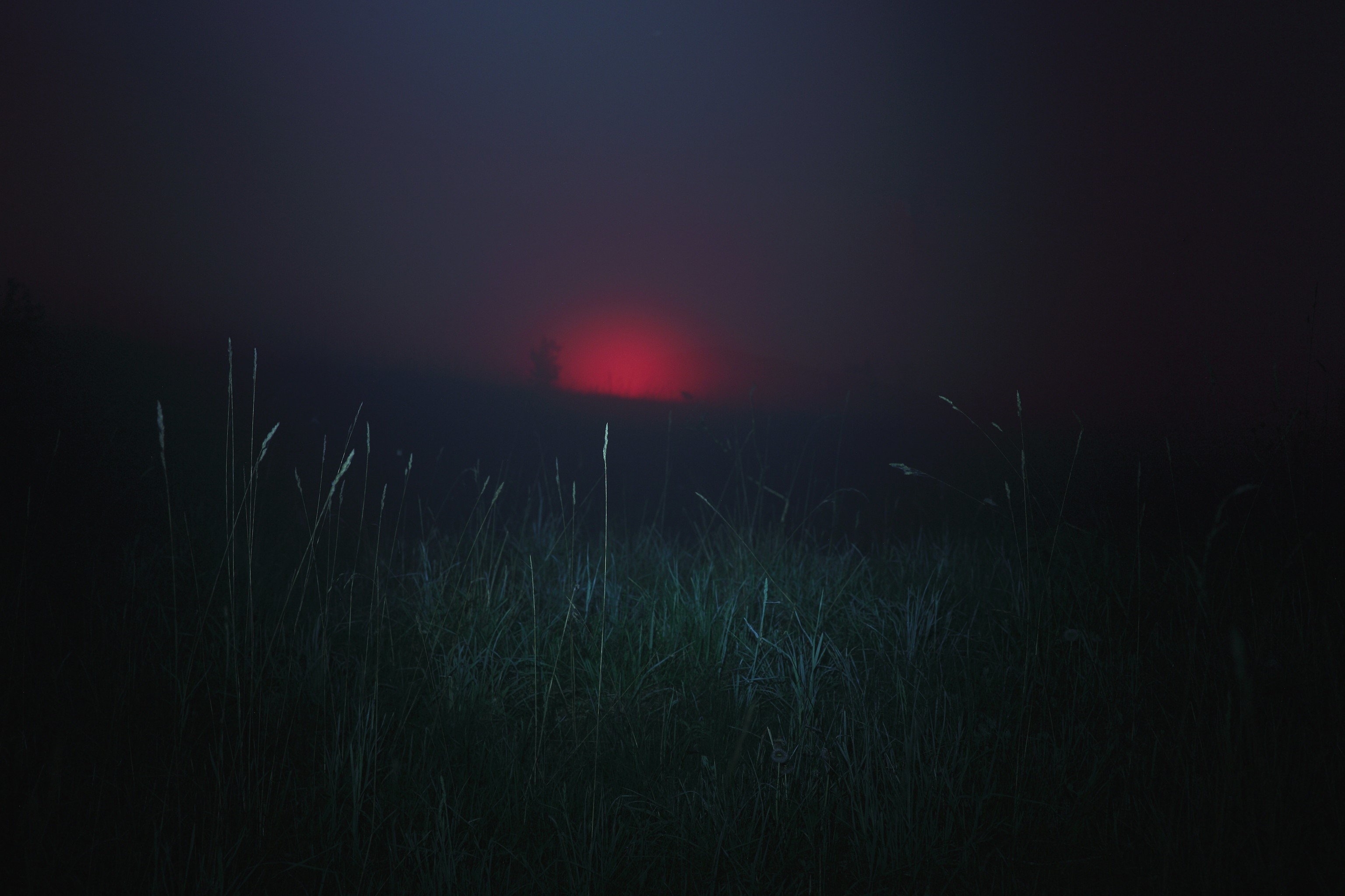 Red sun obscured by mist over a field of grass HD Wallpaper