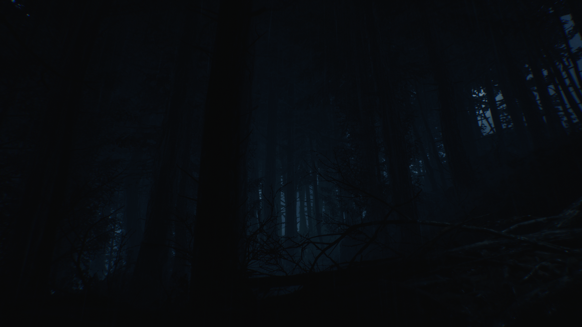 Blair Witch video game forest scene HD Wallpaper