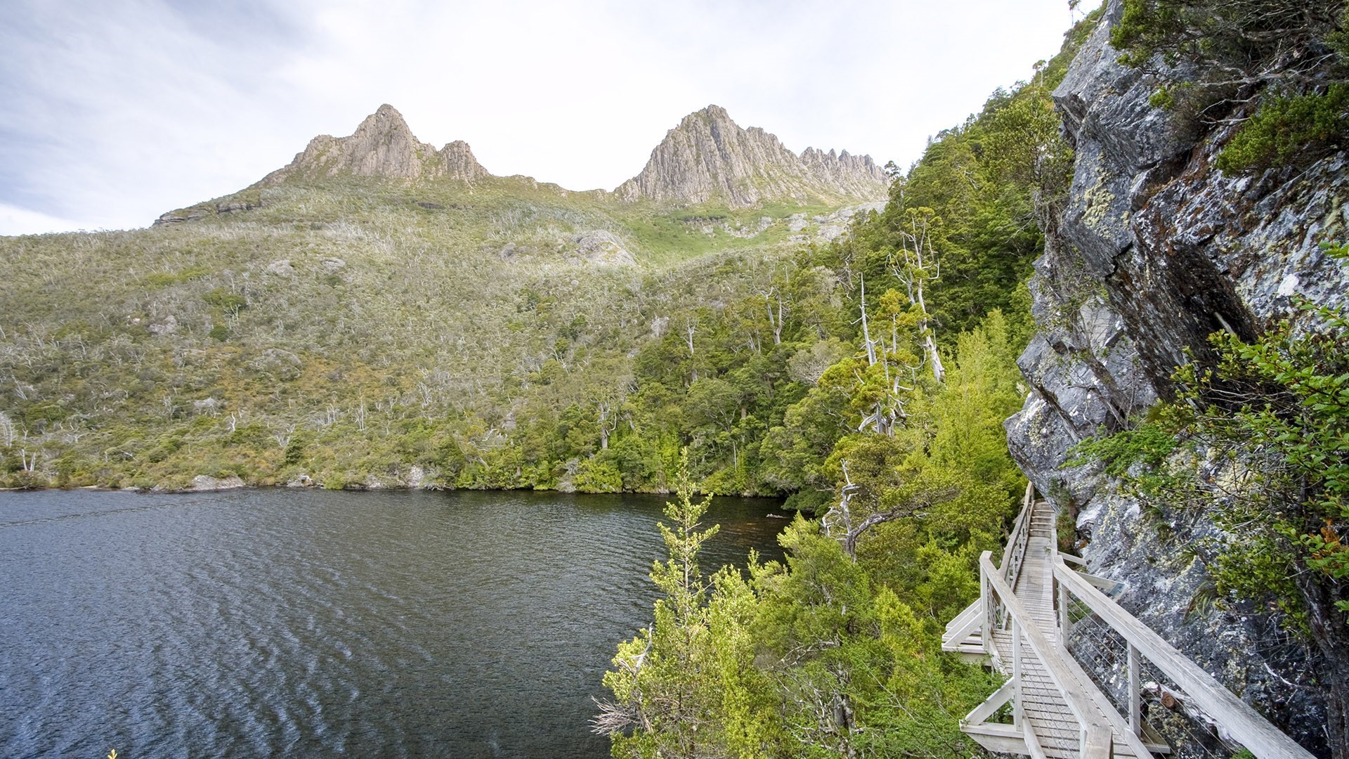 Dove Lake Circuit with Cradle Mountain and wooden boardwalk HD Wallpaper