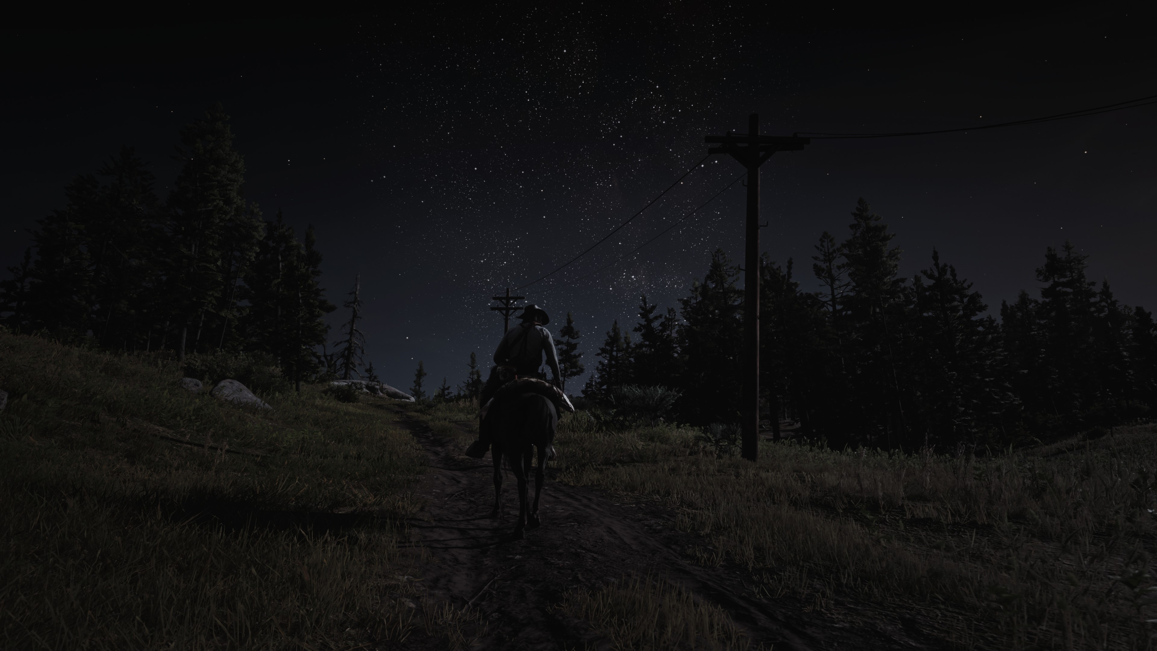 Red Dead Redemption 2: John Marston rides under the stars HD Wallpaper