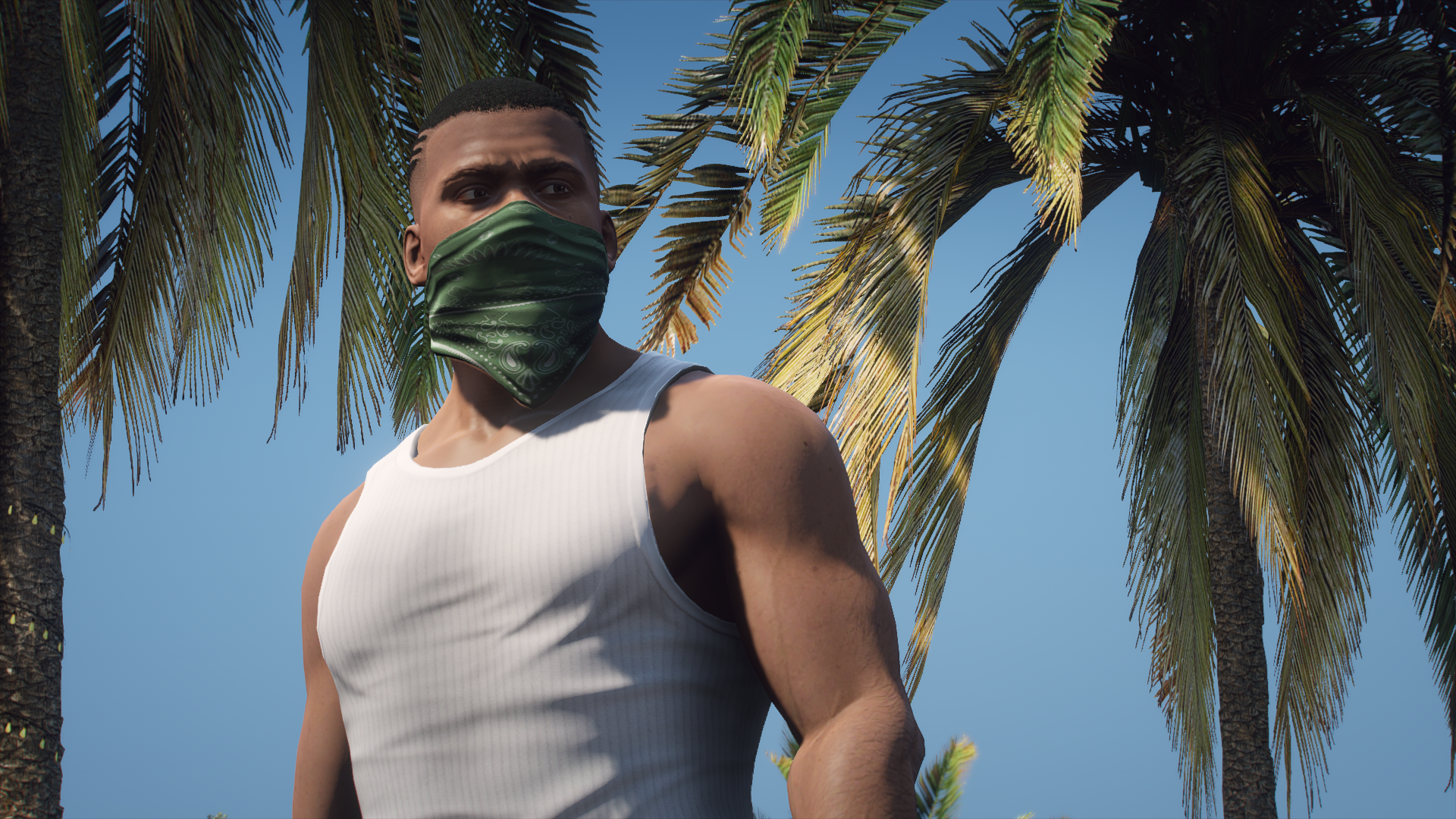 Franklin Clinton from Grand Theft Auto V HD Wallpaper