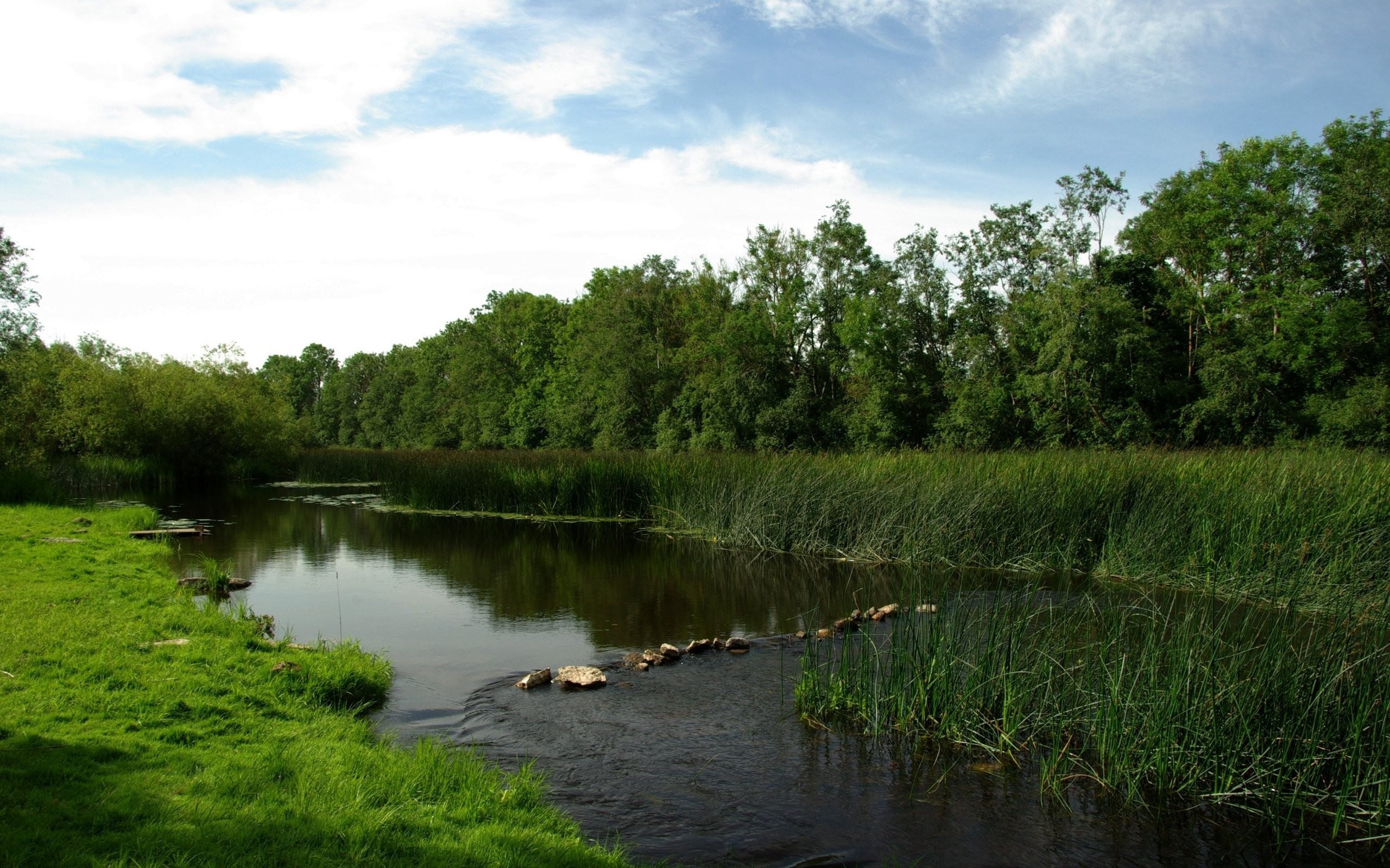 River flowing through a green landscape with trees HD Wallpaper