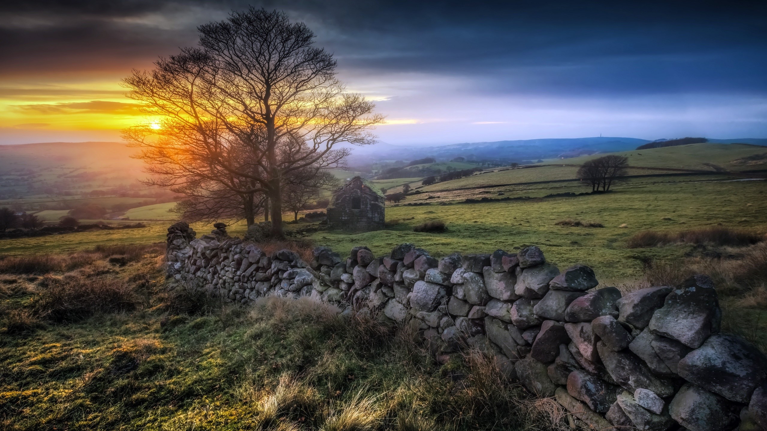 Stone wall and trees at sunset in a rural landscape HD Wallpaper