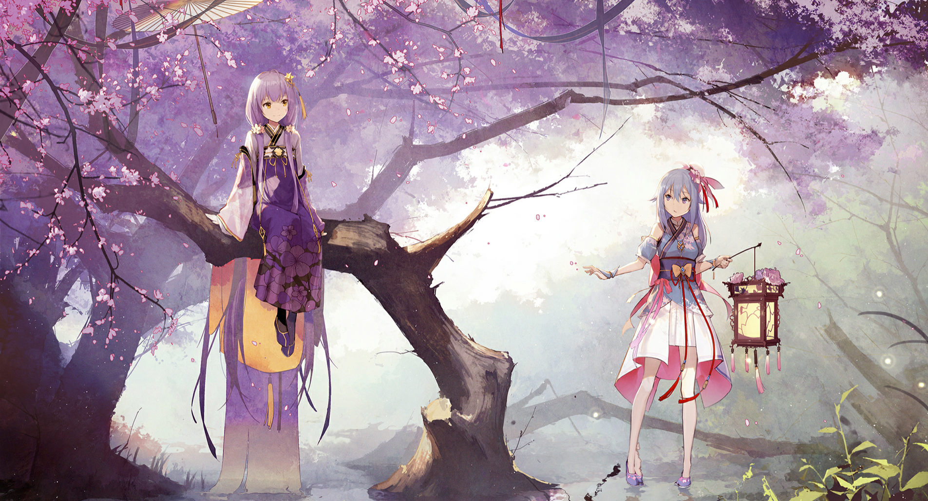 Anime girls with lanterns under cherry blossom trees HD Wallpaper