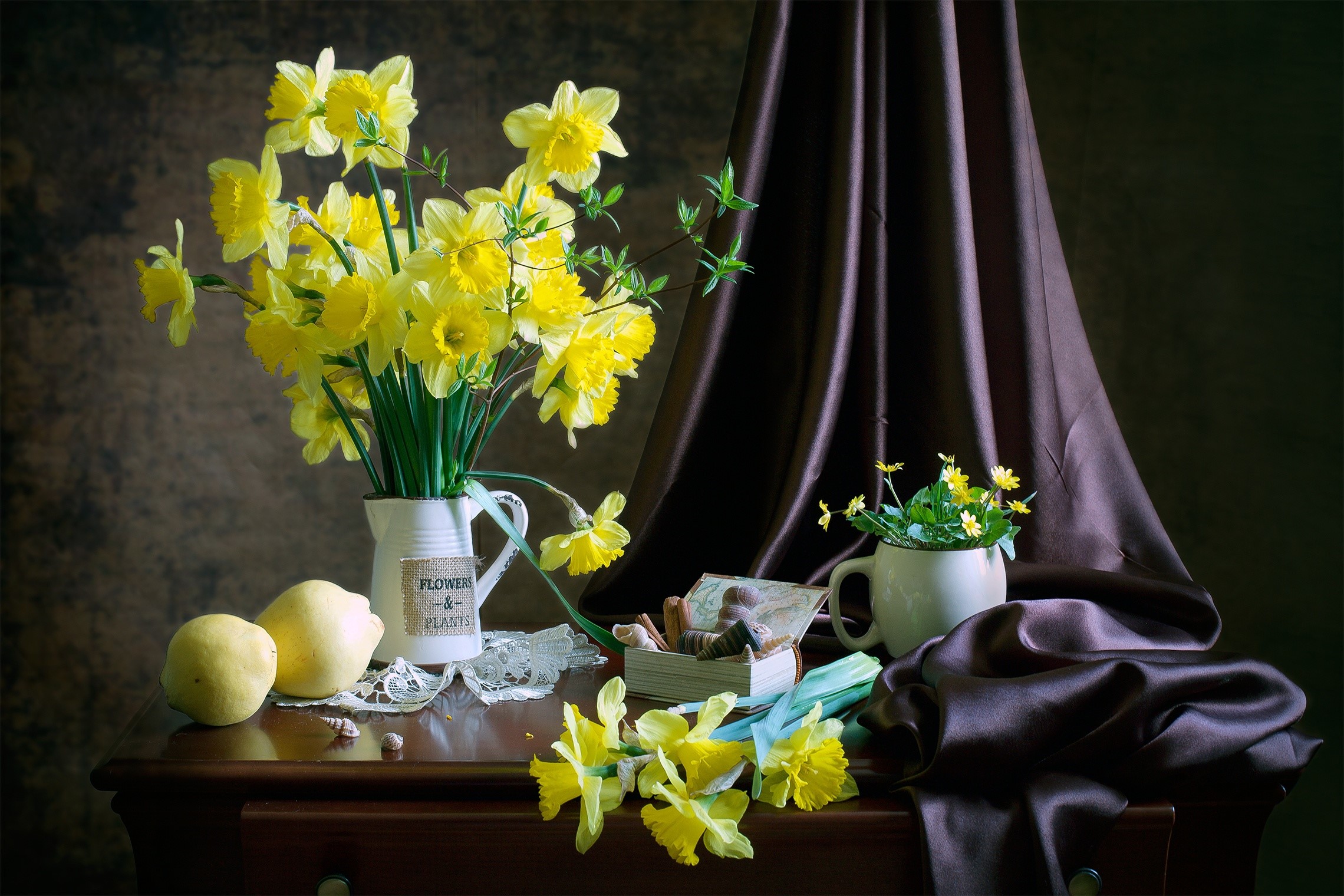 Still life with yellow daffodils and lemons HD Wallpaper