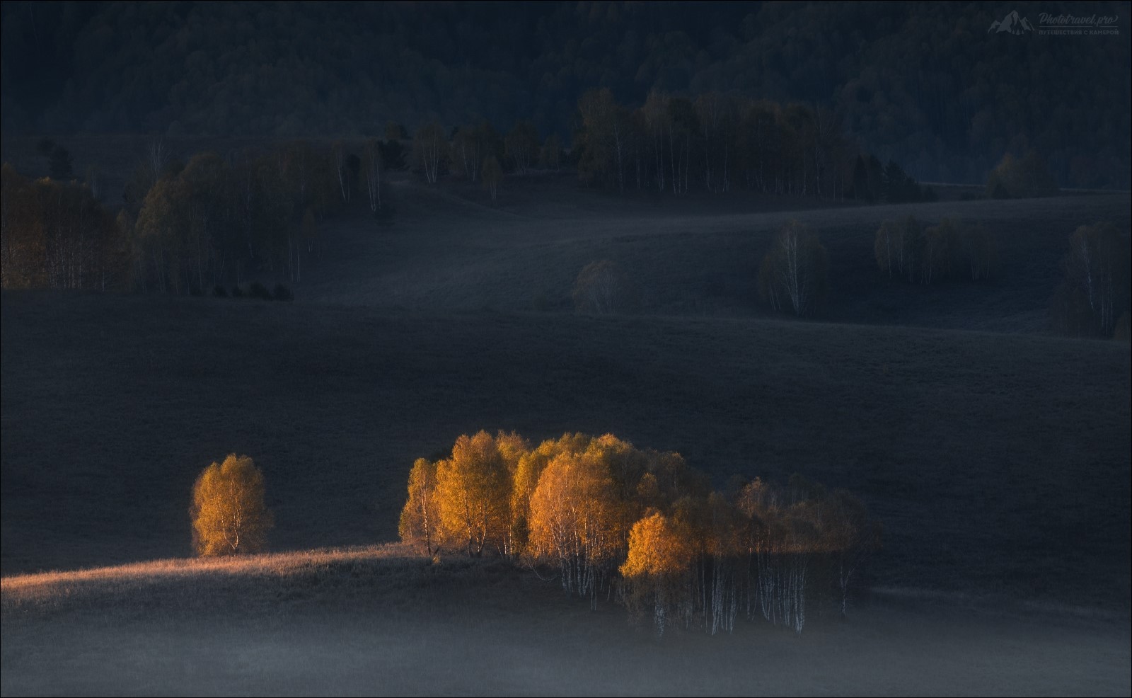 Autumn trees in mist with sun rays HD Wallpaper