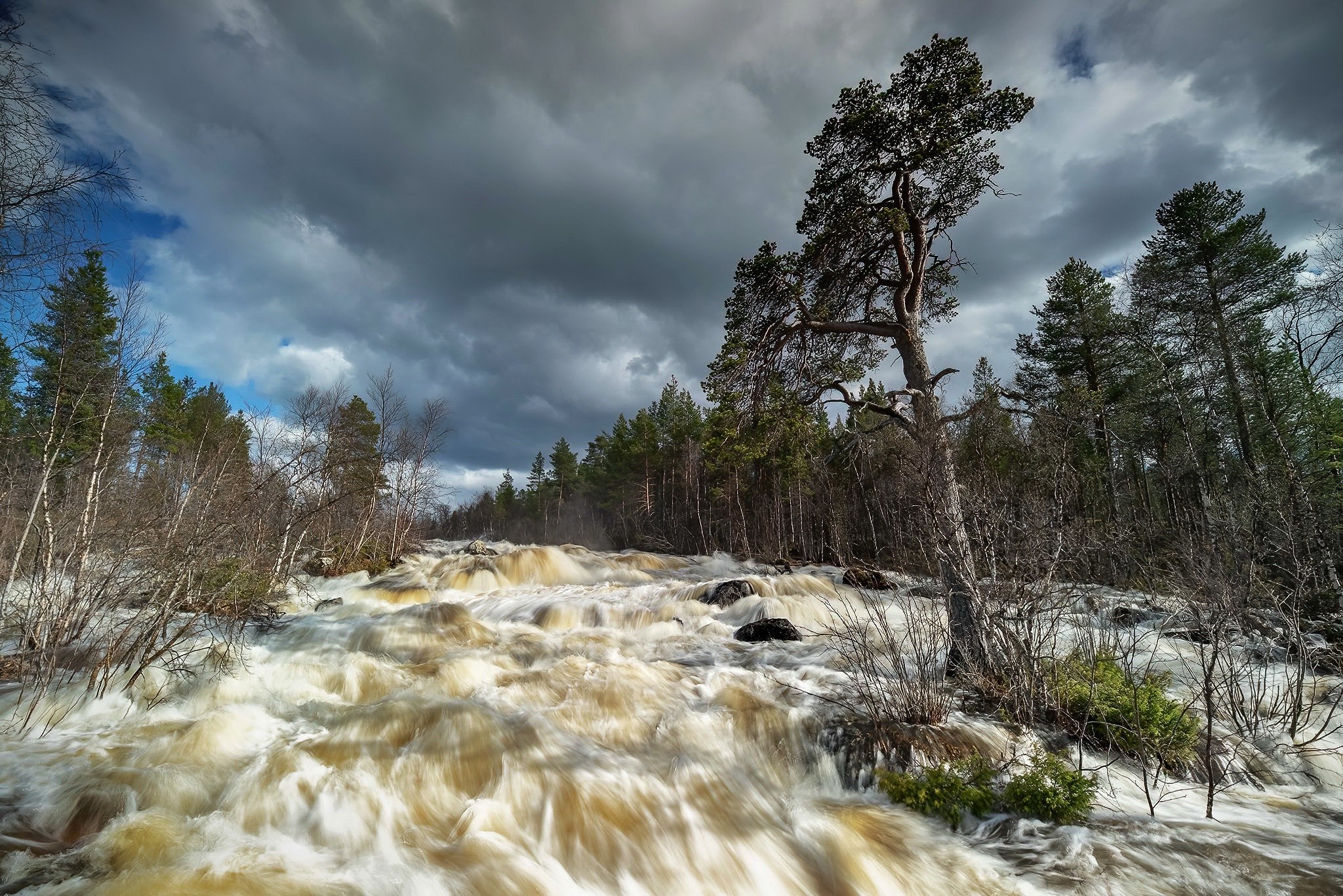 Raging river flowing through a forest under a cloudy sky HD Wallpaper