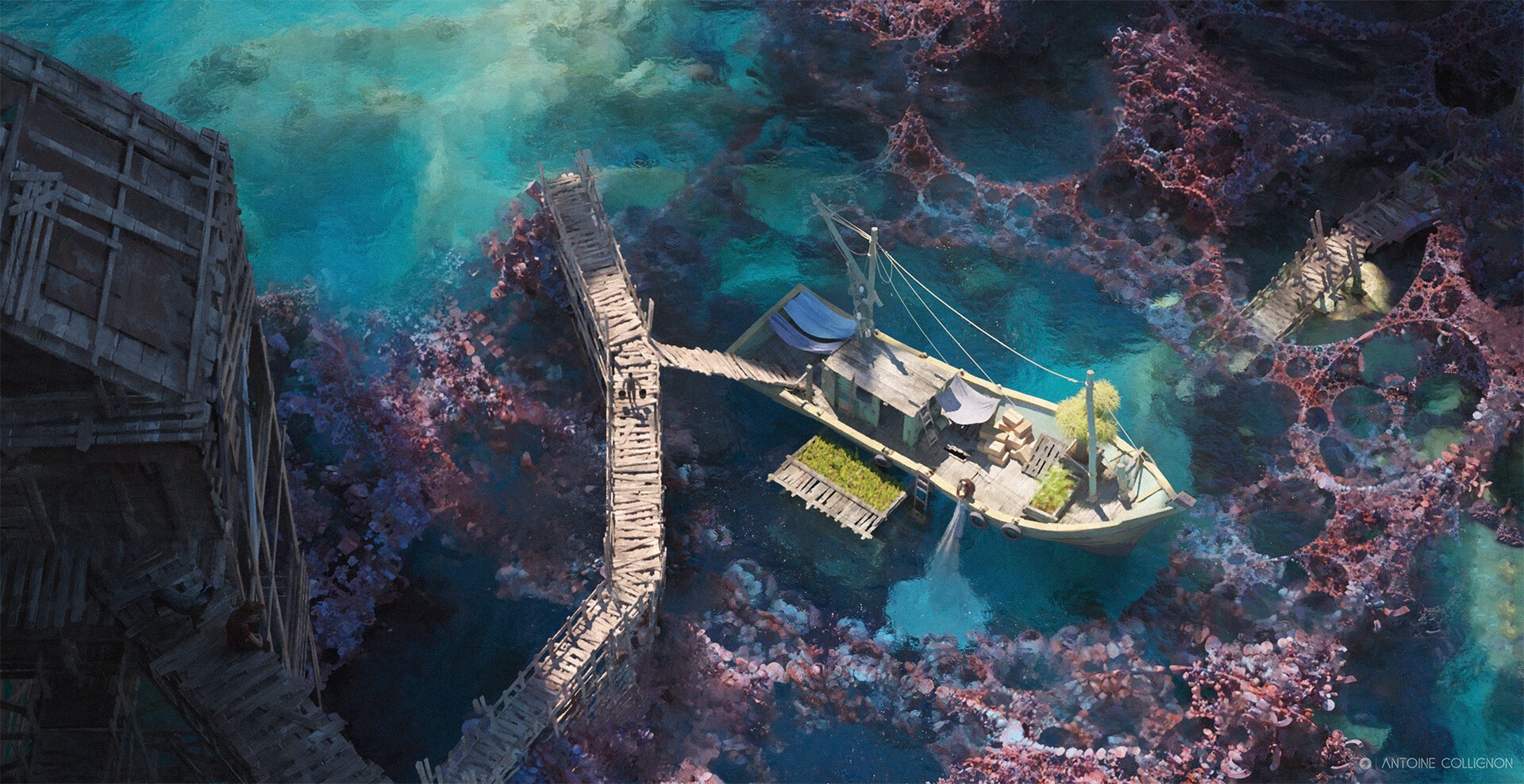 Boat docked at a wooden pier amidst coral reefs HD Wallpaper