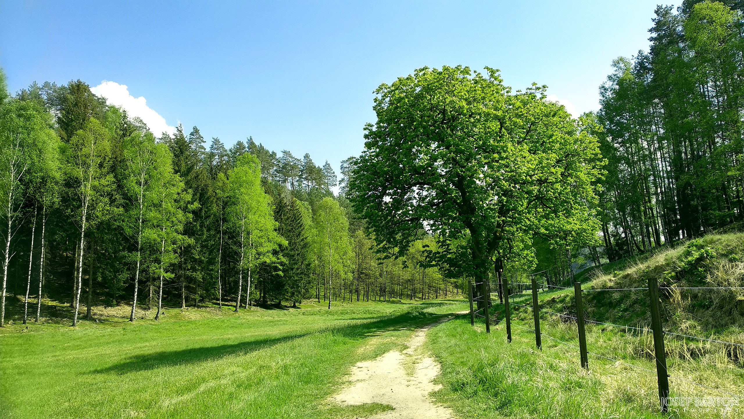 A dirt path winds through a grassy field with trees and a fence HD Wallpaper