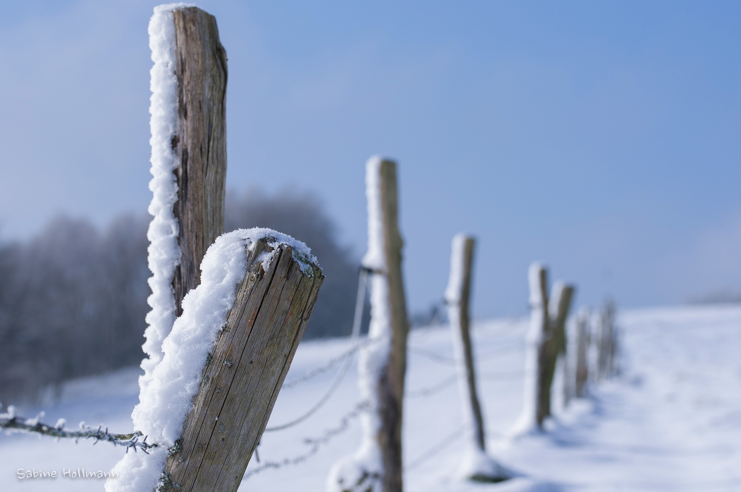 Wooden fence posts covered in snow in a winter landscape HD Wallpaper