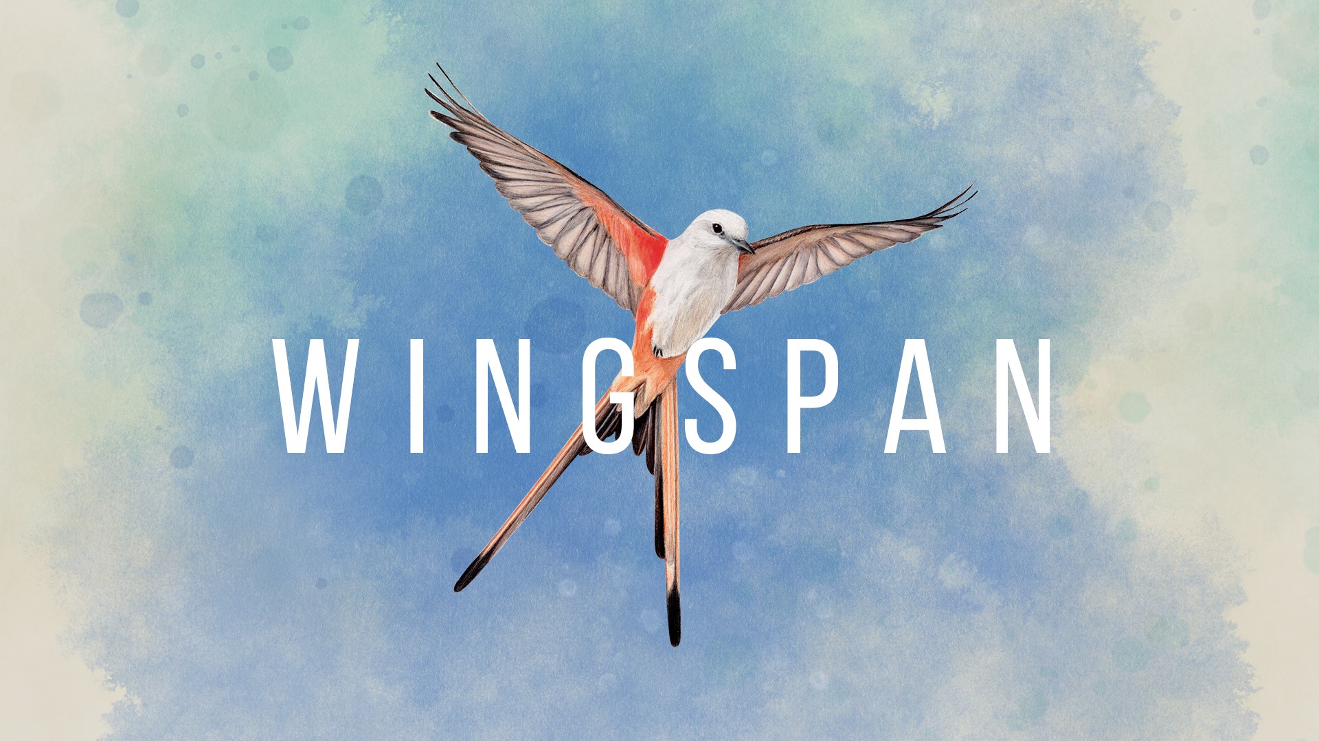 Wingspan board game artwork with bird HD Wallpaper