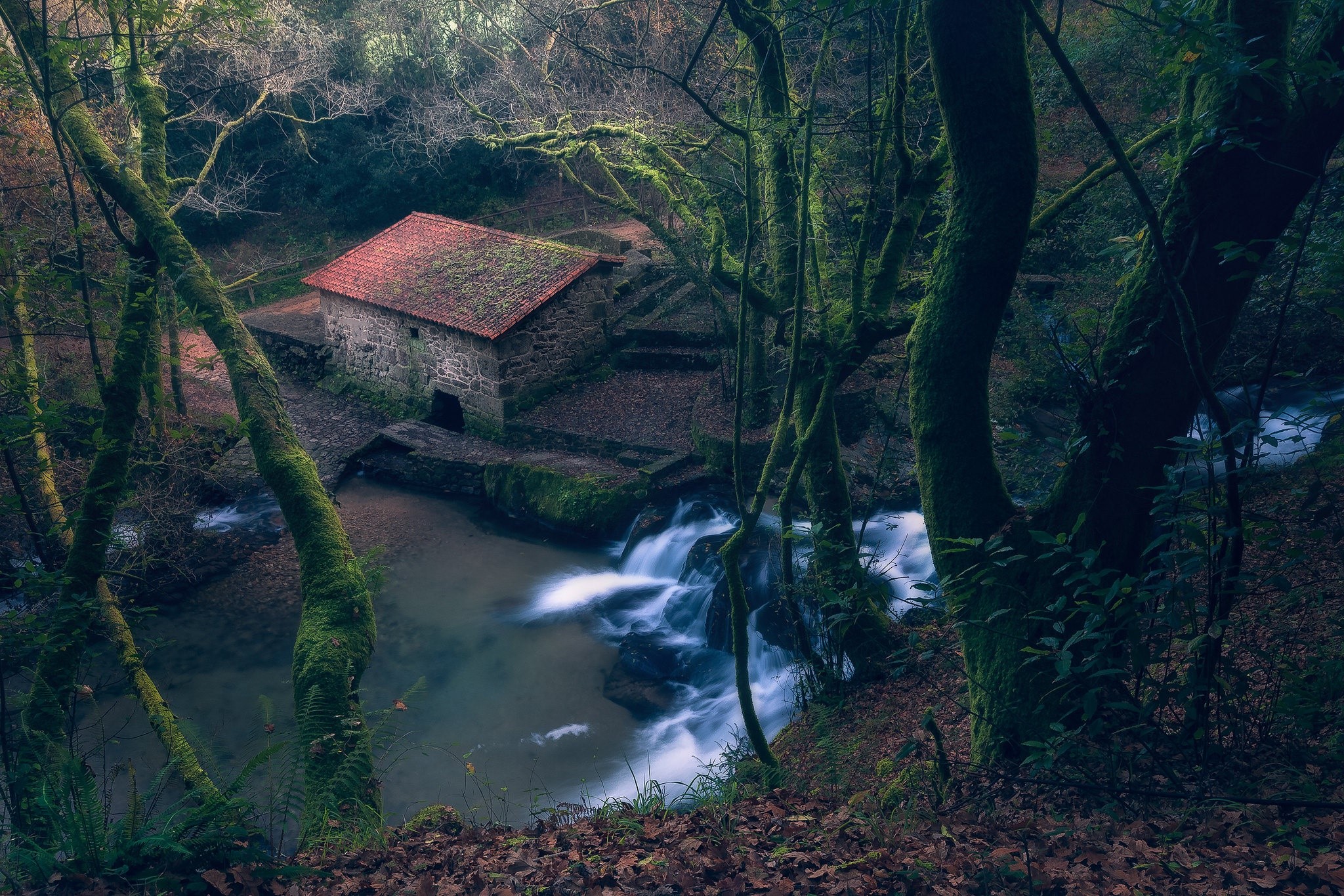 Stone building by a waterfall in a mossy forest HD Wallpaper