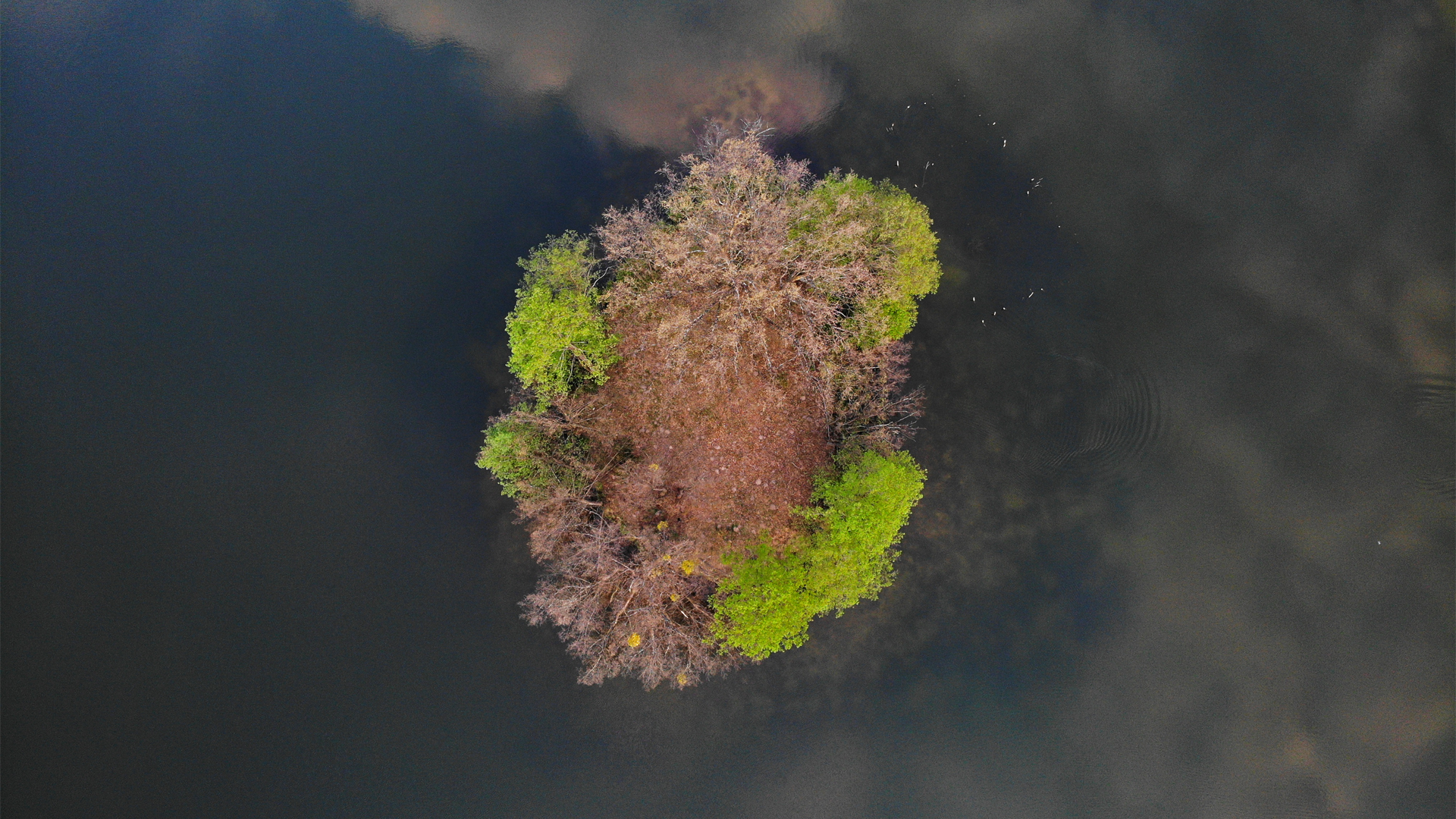 Aerial view of a small island with trees in a lake HD Wallpaper