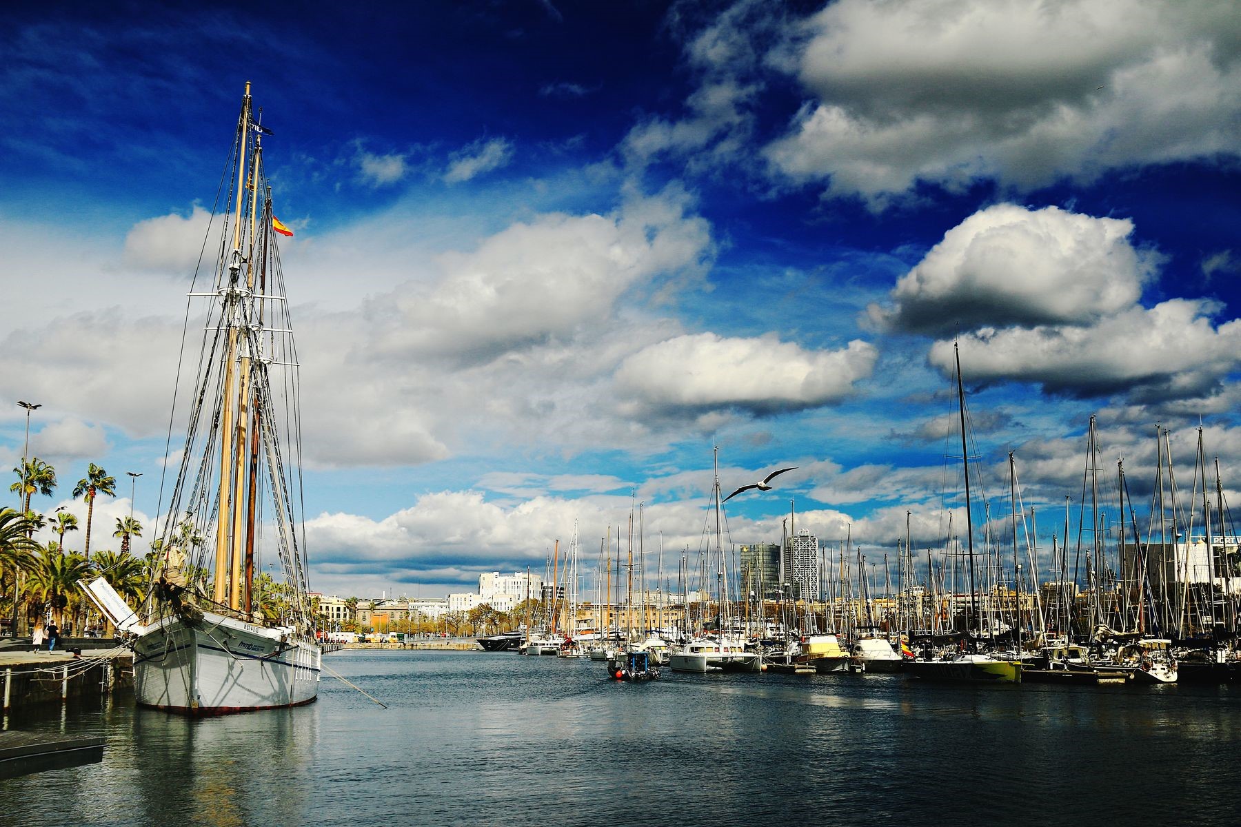 Sailboats docked in Barcelona harbor under a cloudy sky HD Wallpaper