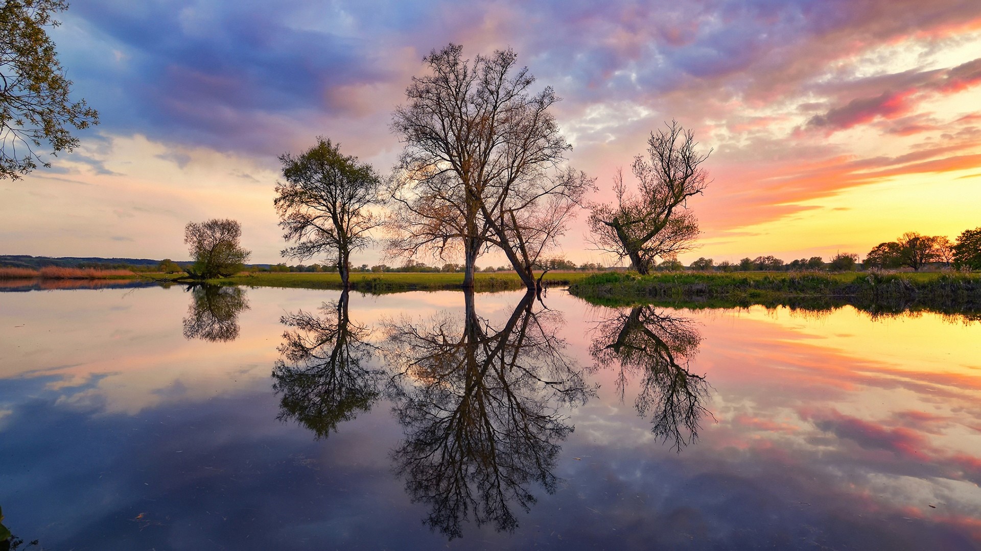Trees reflected in a lake at sunset in Poland HD Wallpaper