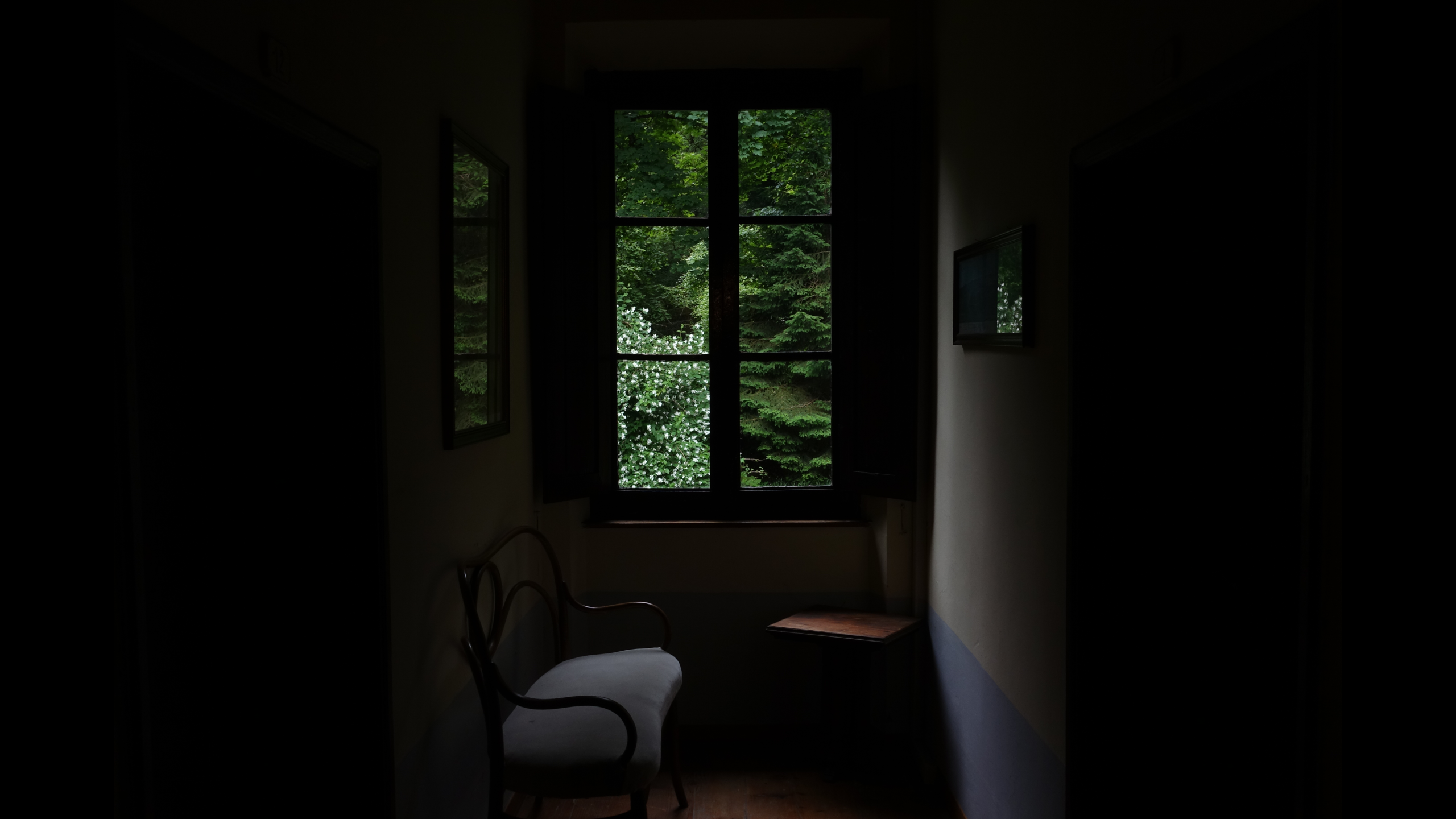 Dark interior with a window overlooking trees HD Wallpaper