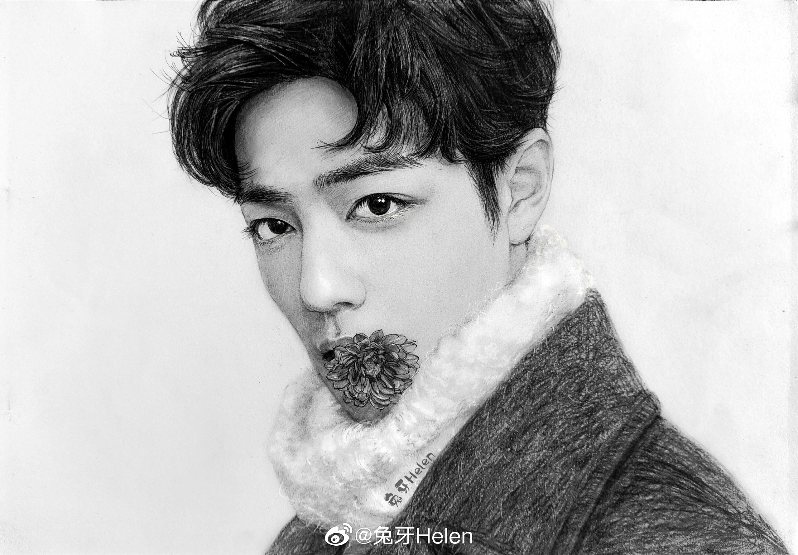 Pencil sketch of Xiao Zhan with a flower HD Wallpaper