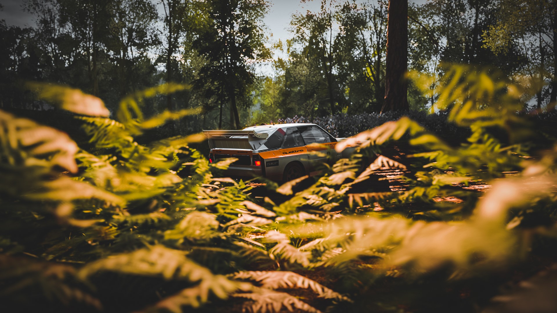 Audi Sport Quattro S1 rally car in a forest HD Wallpaper