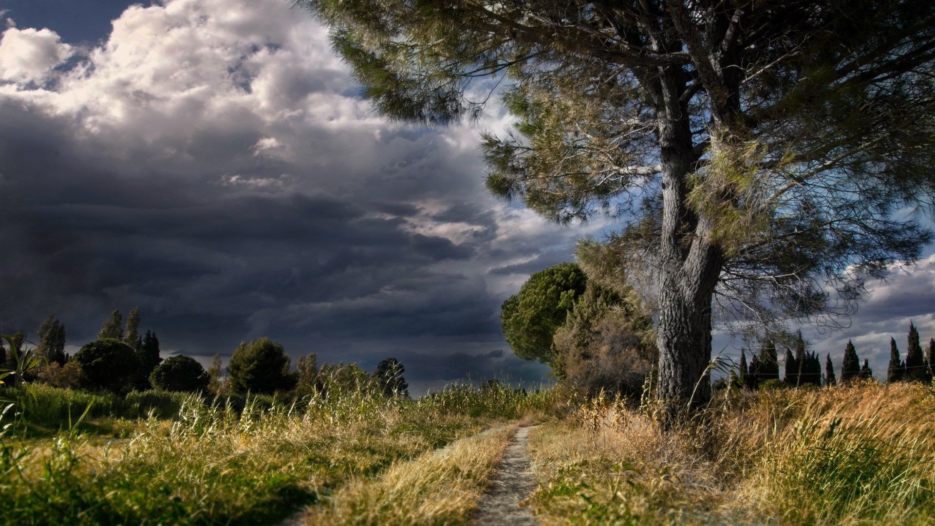 Dirt path through a field under stormy clouds HD Wallpaper