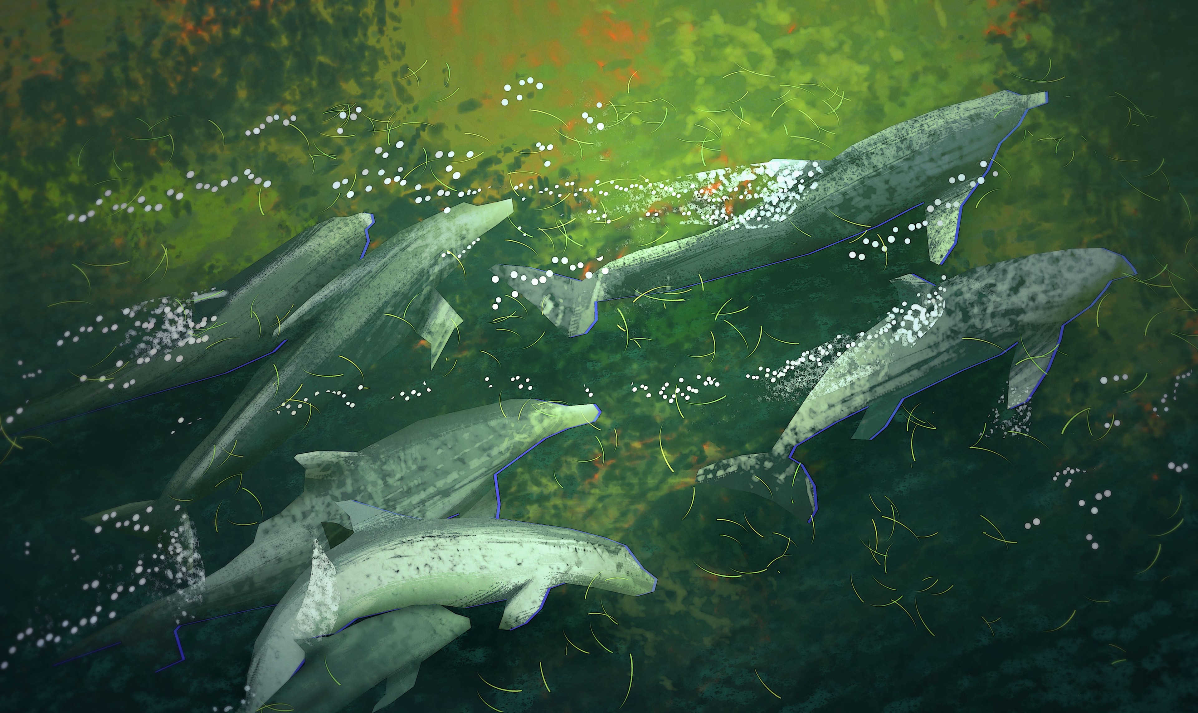Dolphins swimming in a green underwater environment HD Wallpaper