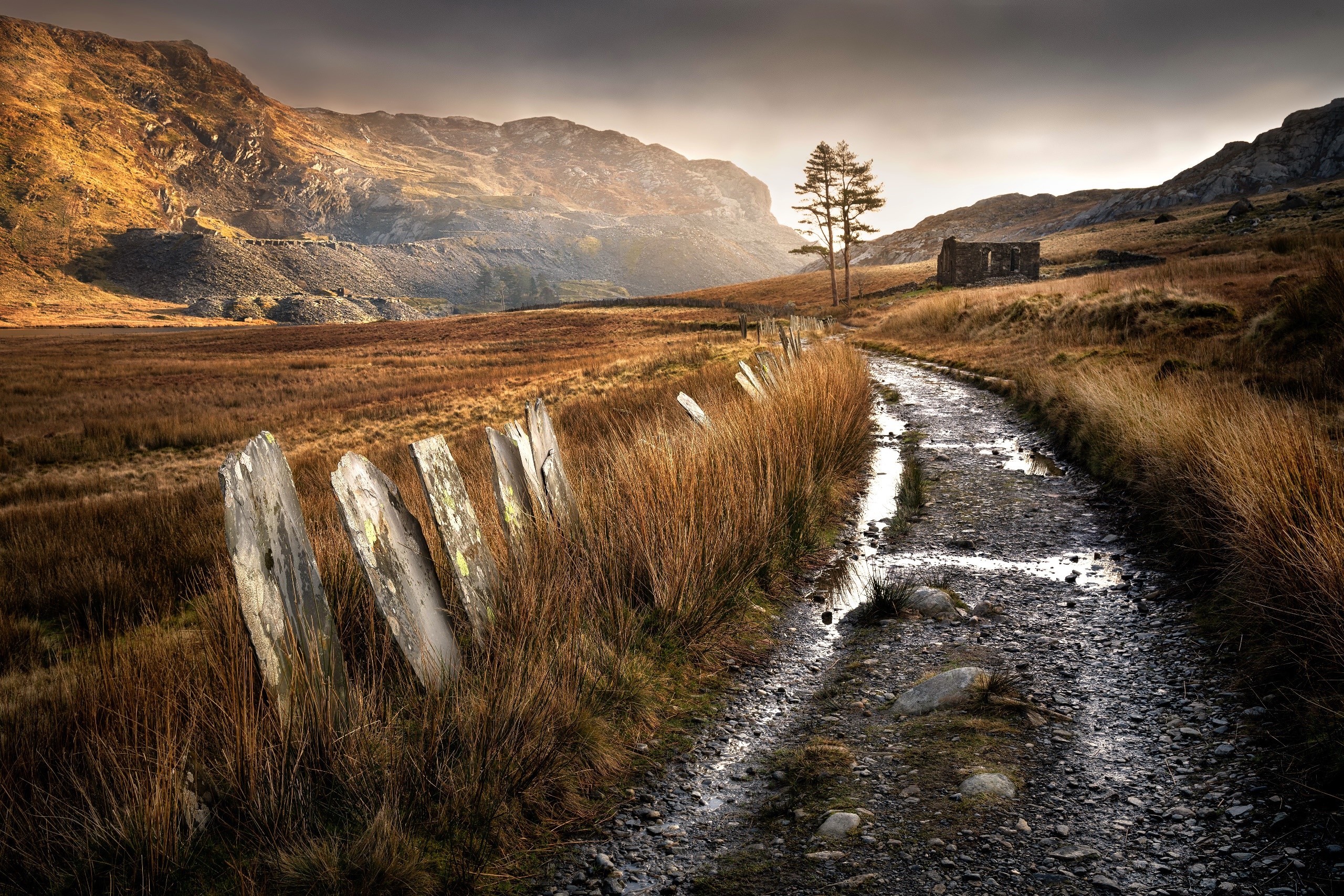 Rural landscape with stone fence and ruined building HD Wallpaper