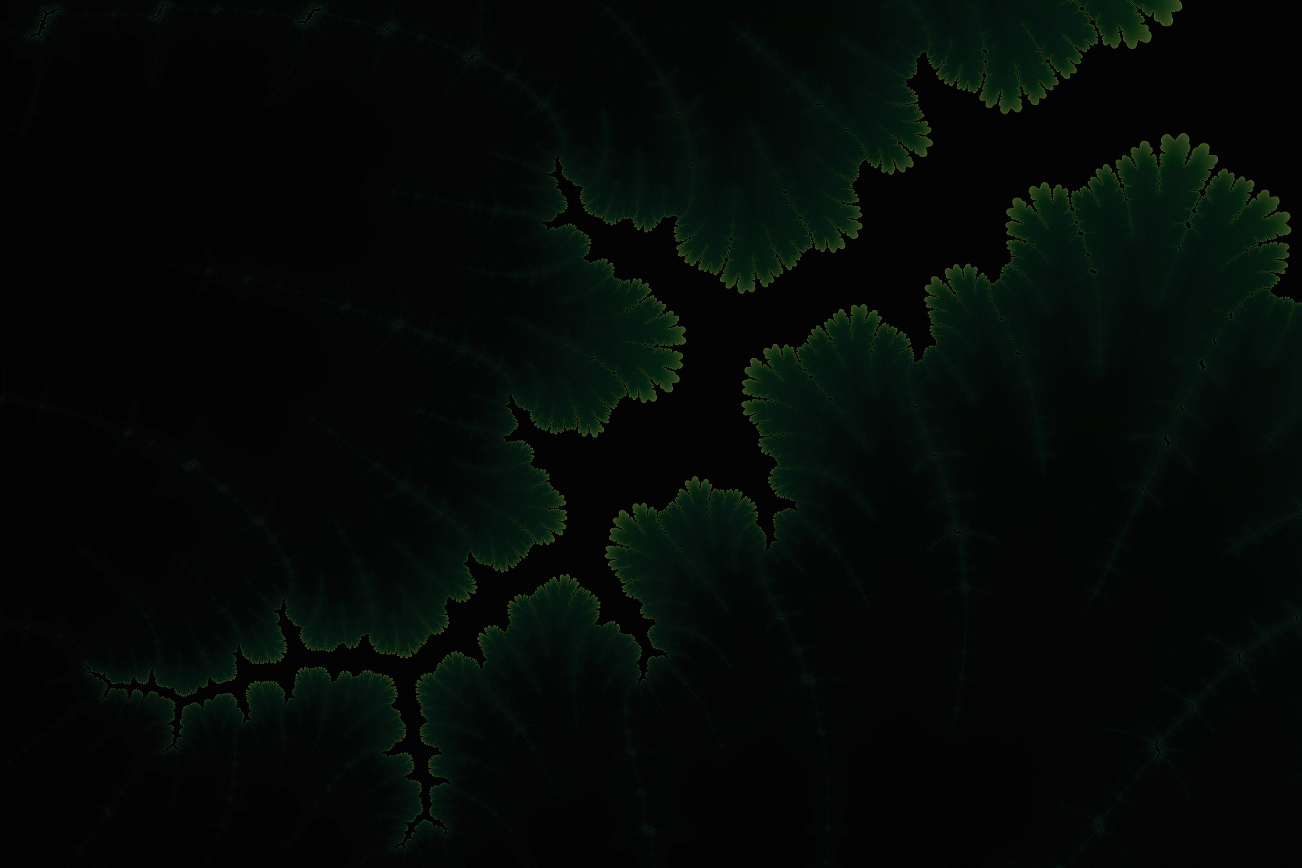 Dark fractal patterns by Adi Dizdarevic HD Wallpaper