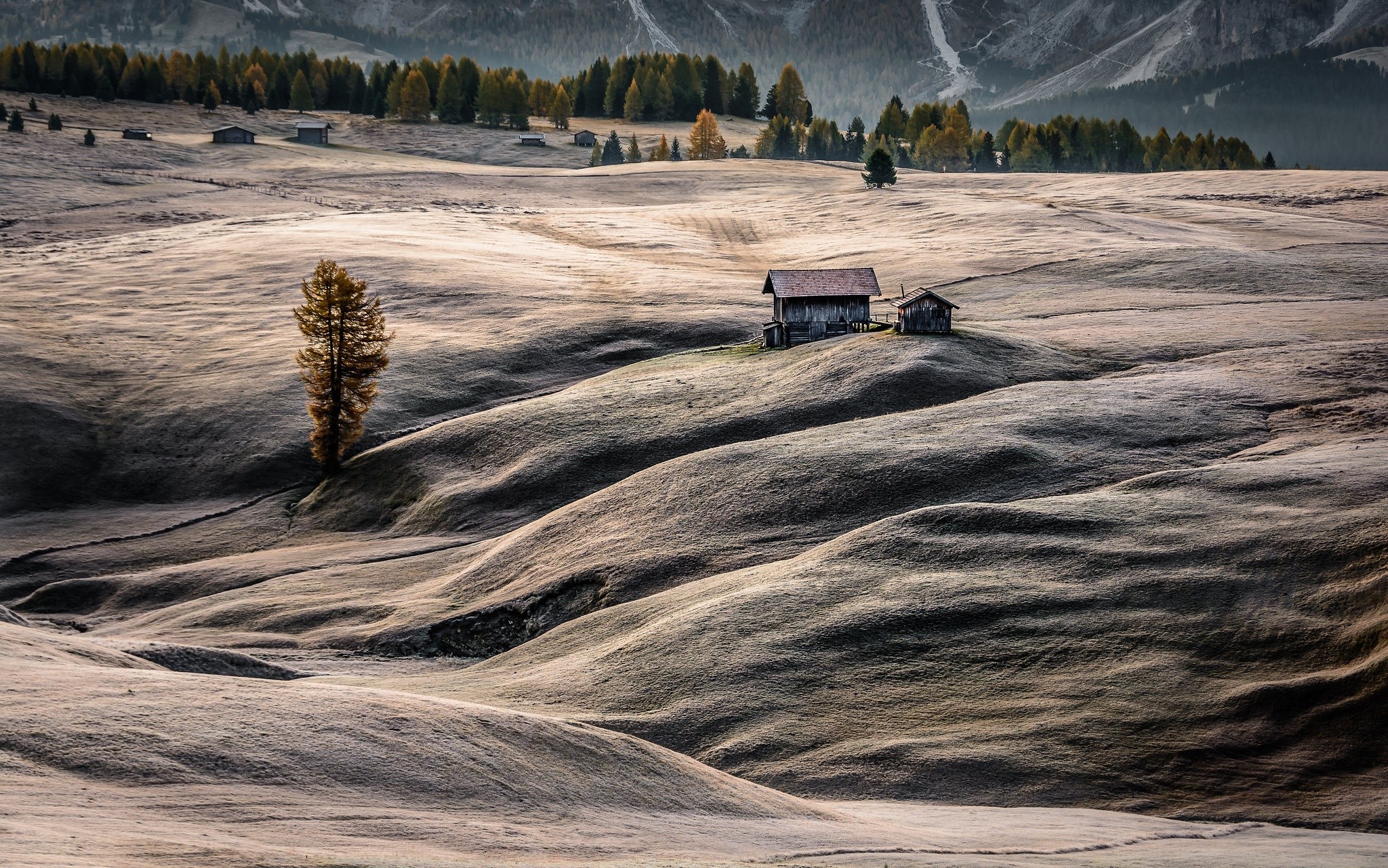 Mountain landscape with cabins and trees in Italy HD Wallpaper