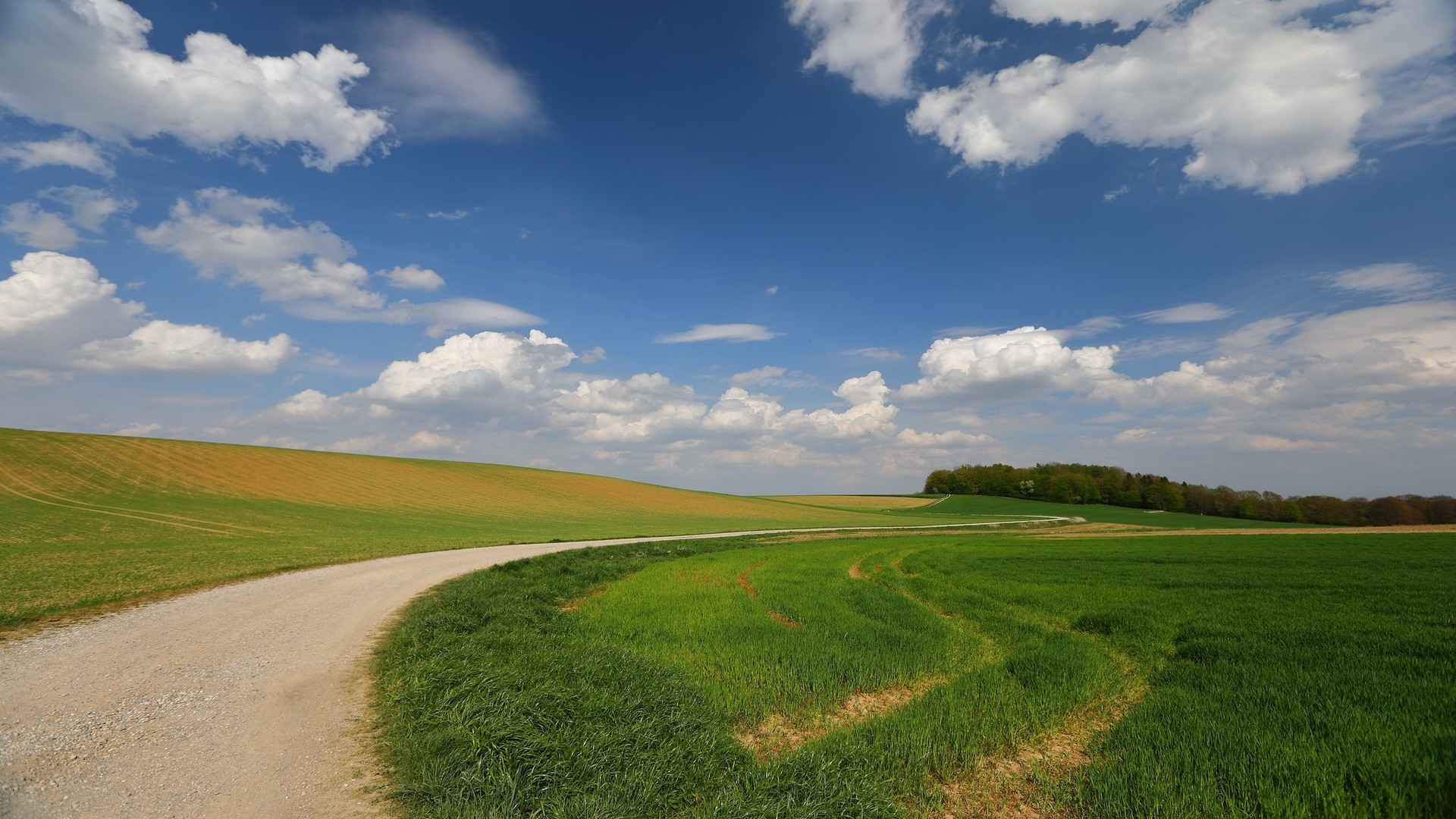 Dirt road through green fields under a blue sky with clouds HD Wallpaper