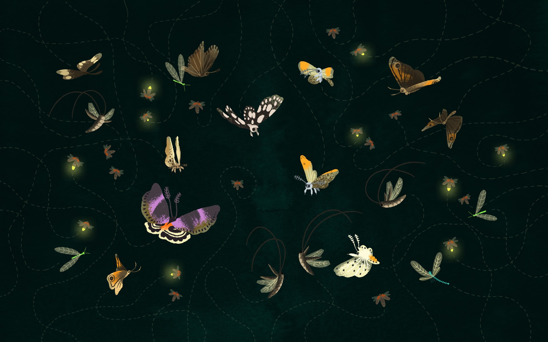 Digital art illustration of butterflies and fireflies at night HD Wallpaper