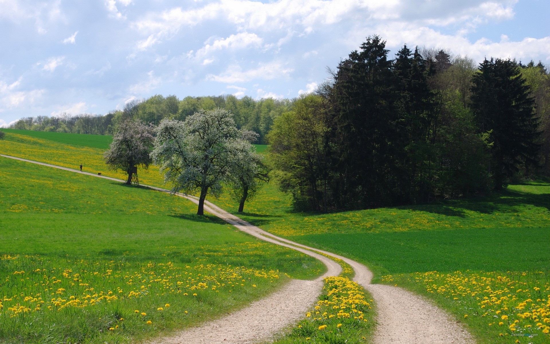 A winding dirt path through a green meadow with yellow flowers and trees HD Wallpaper