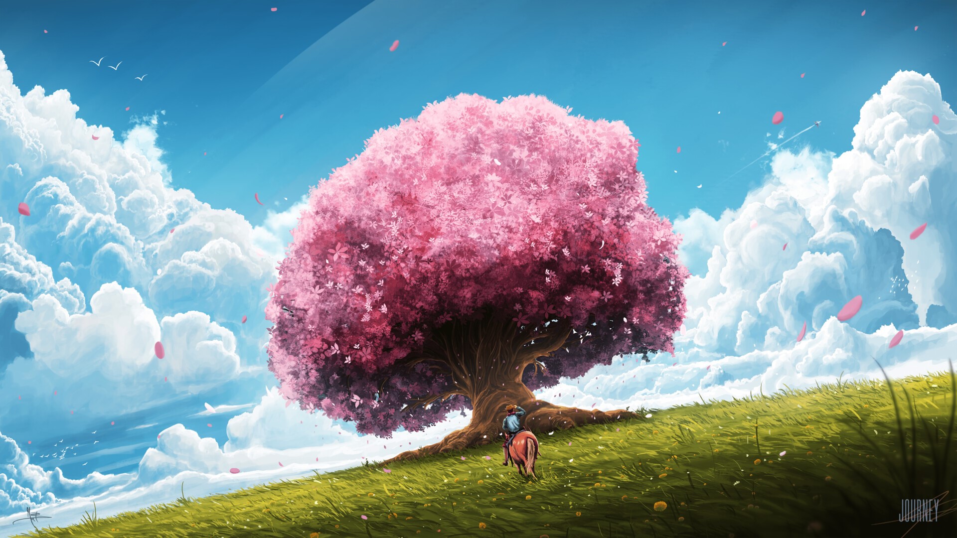 A person on a horse under a cherry blossom tree HD Wallpaper