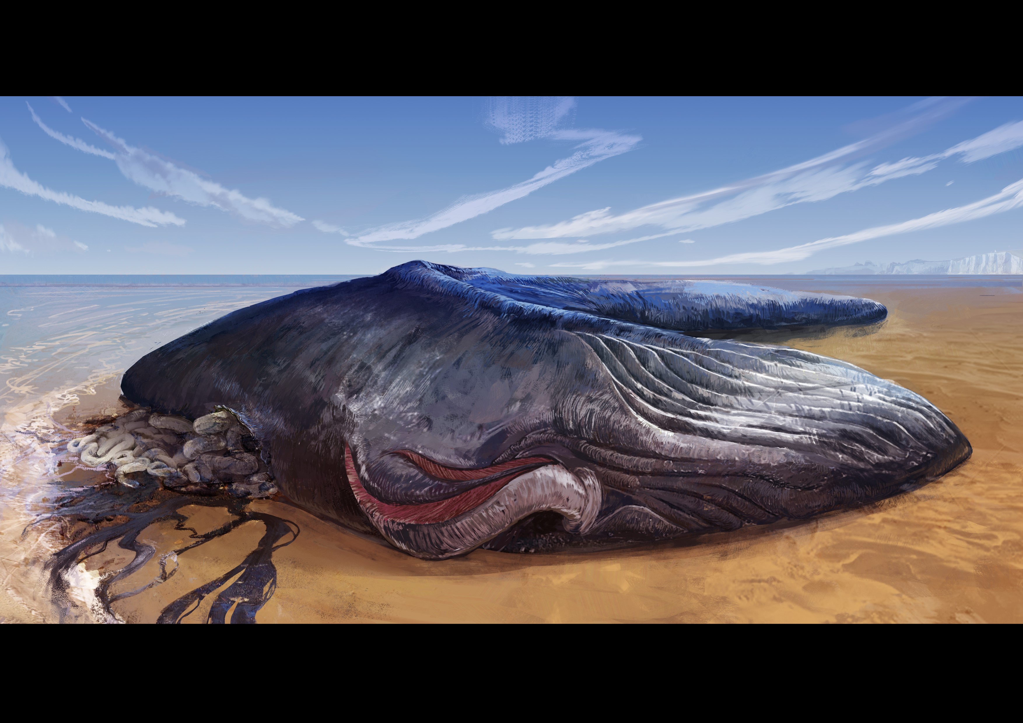 Beached whale on a sandy shore HD Wallpaper