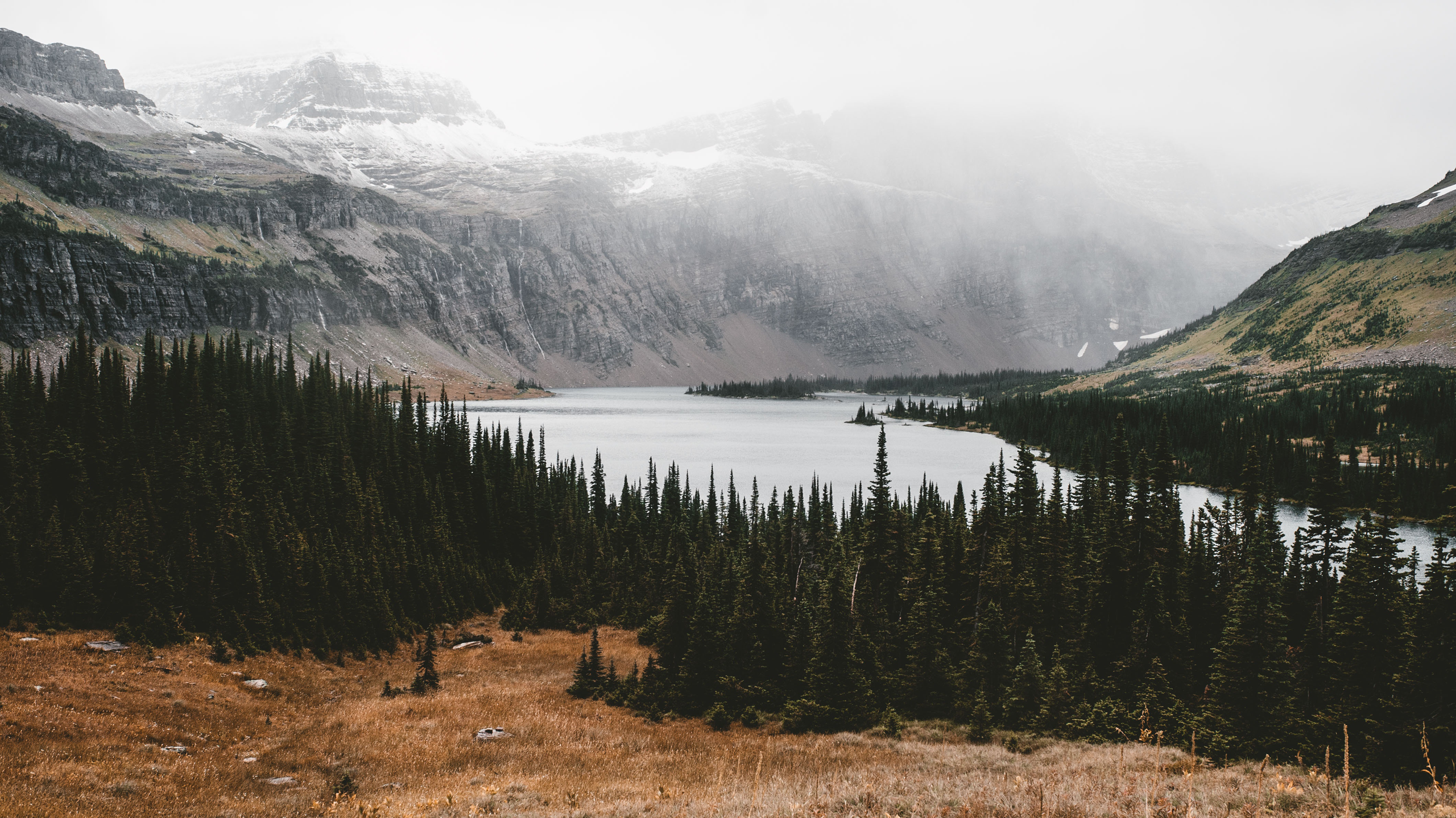 Misty mountains and lake with pine forest HD Wallpaper
