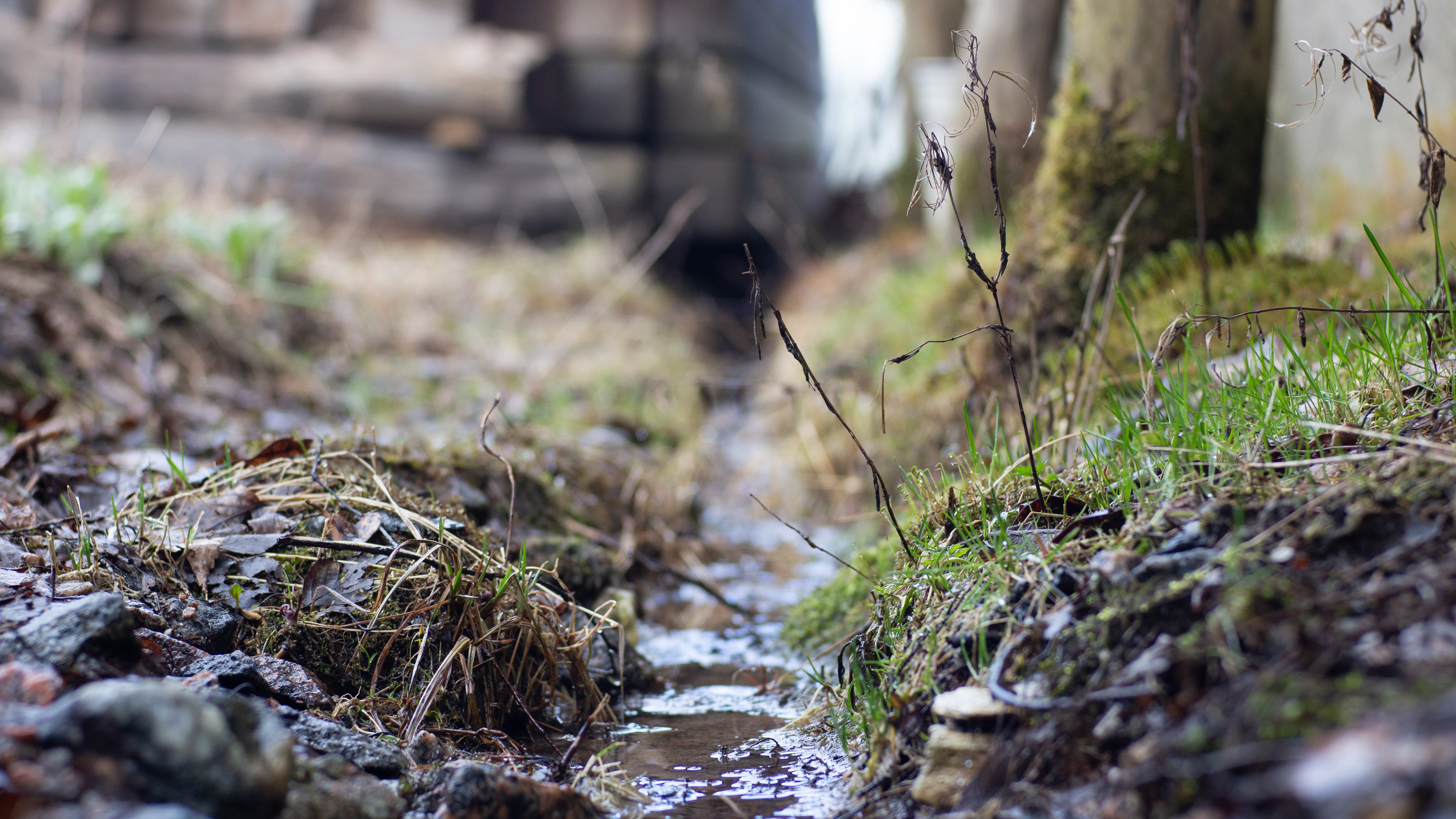 Small stream flowing through a natural outdoor environment HD Wallpaper