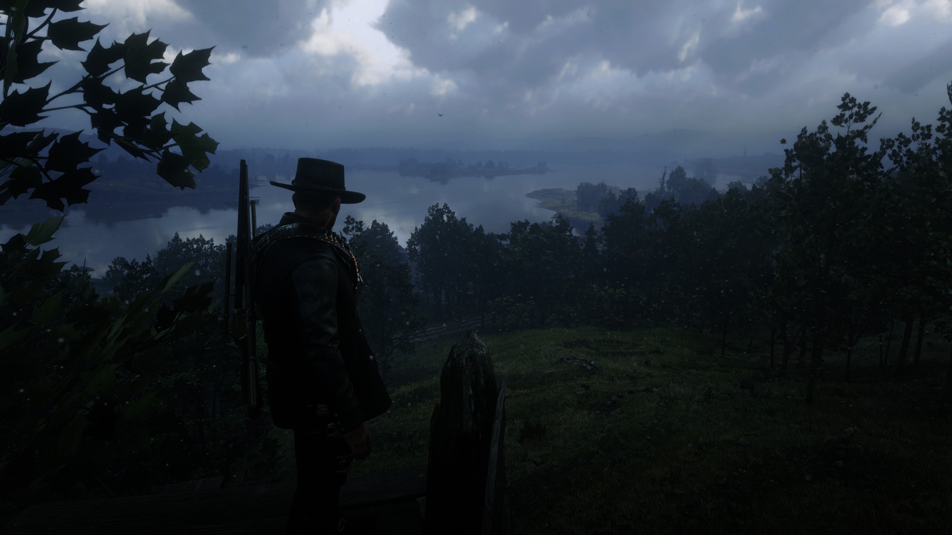 Man in cowboy hat overlooking a lake in Red Dead Redemption 2 HD Wallpaper
