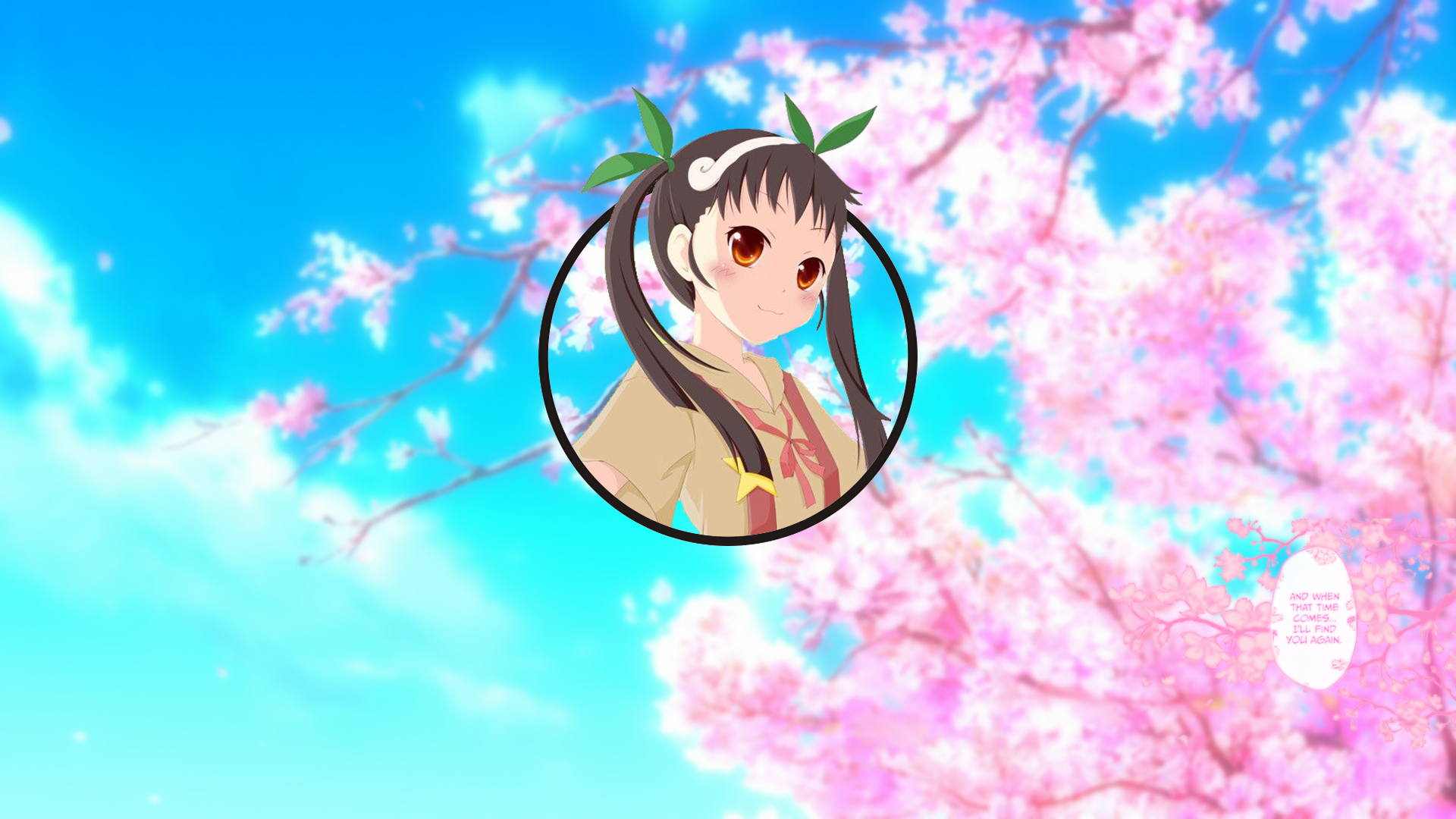 Anime girl with cherry blossoms HD Wallpaper