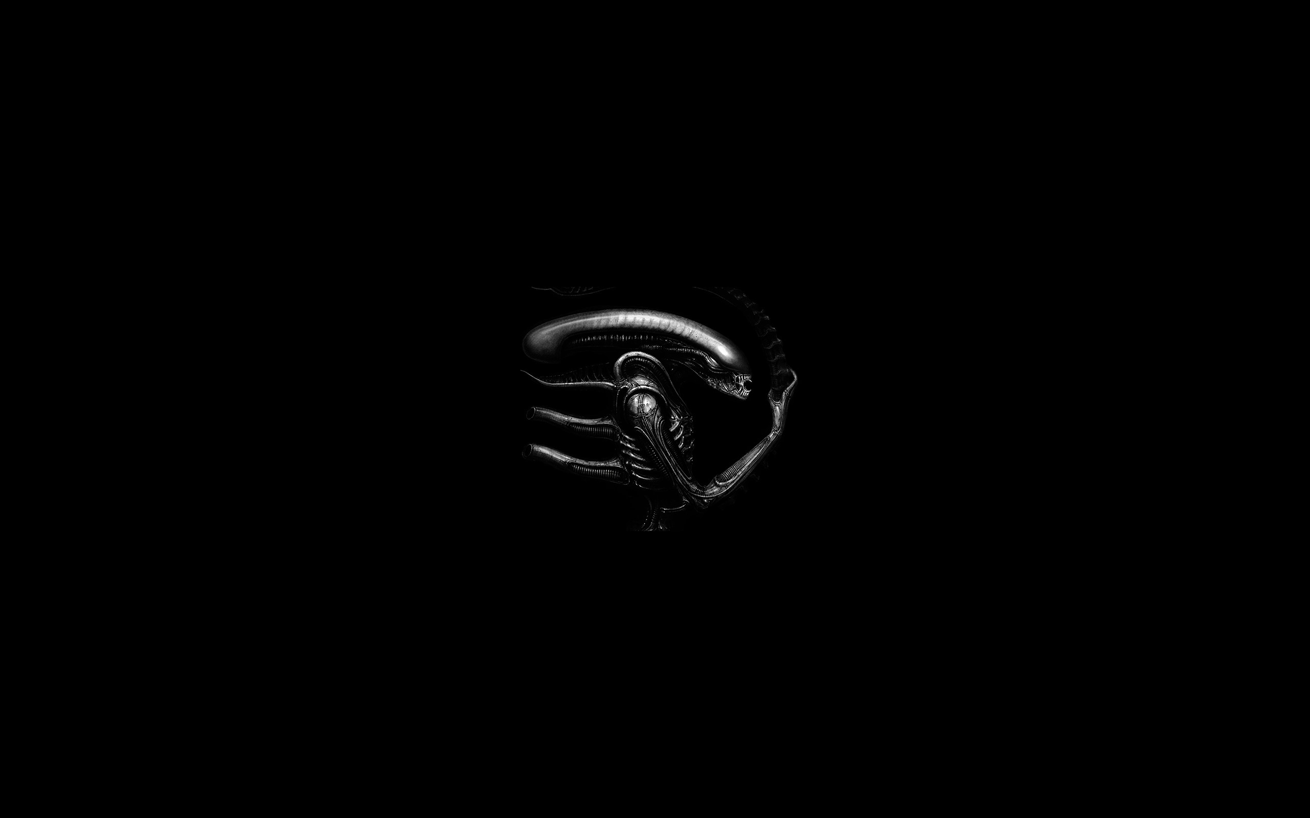 Xenomorph from Alien, monochrome illustration HD Wallpaper