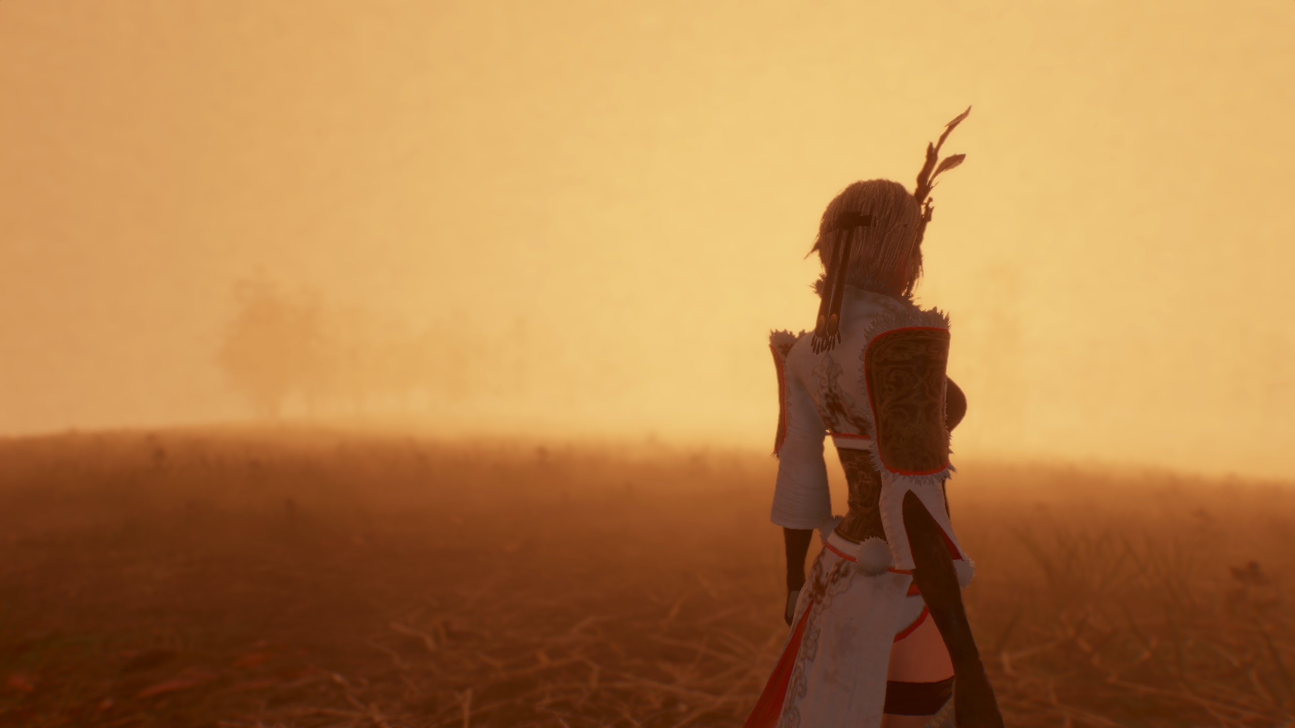 Character from Dynasty Warriors 8 in a foggy field HD Wallpaper