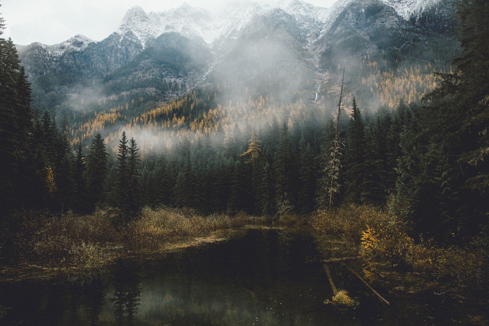 Misty mountains and forest overlooking a dark lake HD Wallpaper