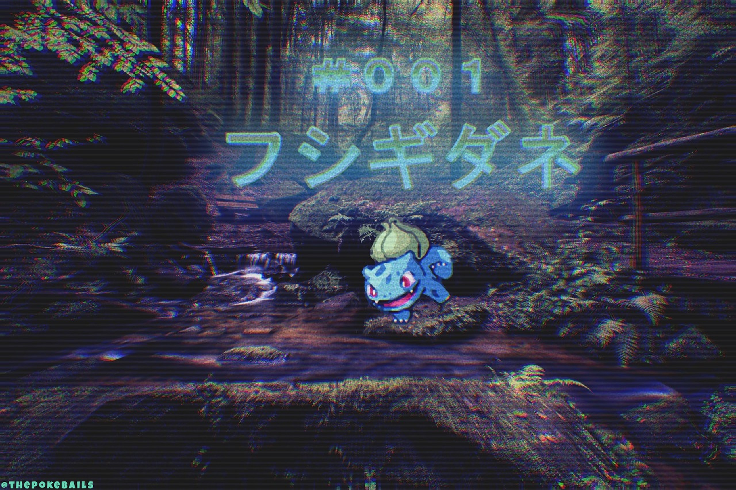 Bulbasaur from Pokémon in a forest with Japanese text HD Wallpaper