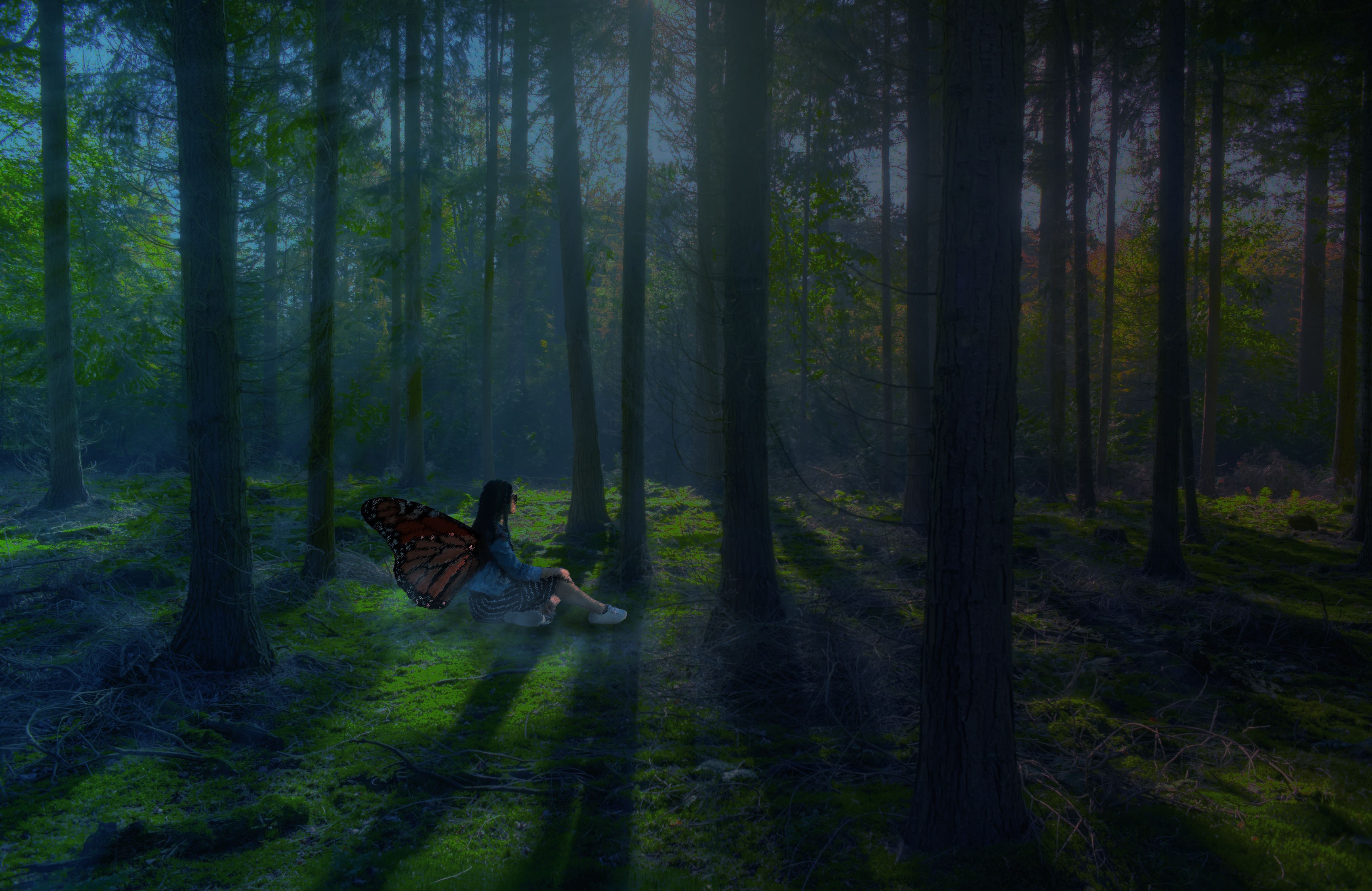 Fantasy girl with butterfly wings in a misty forest HD Wallpaper